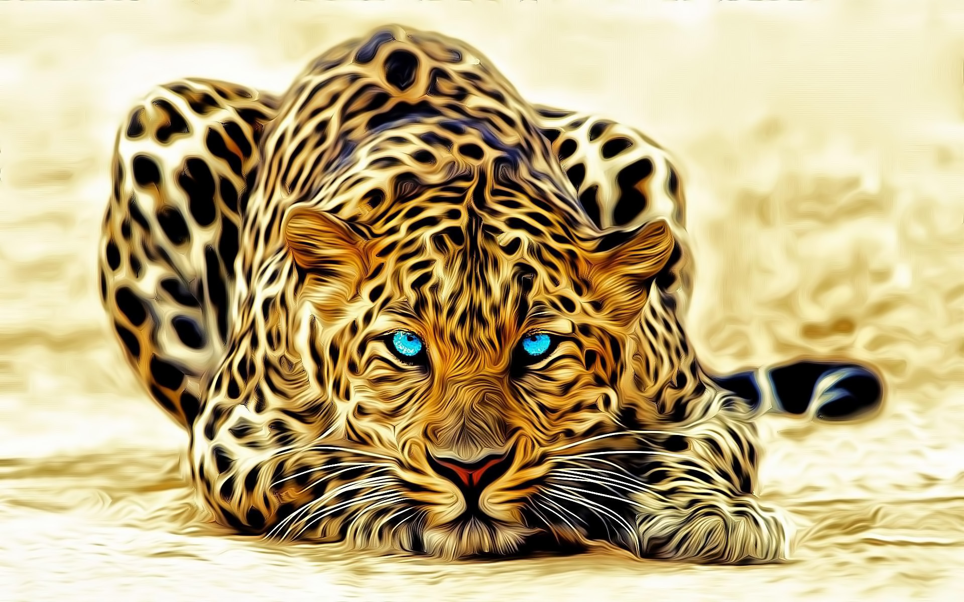 animals, pictures, leopards, yellow