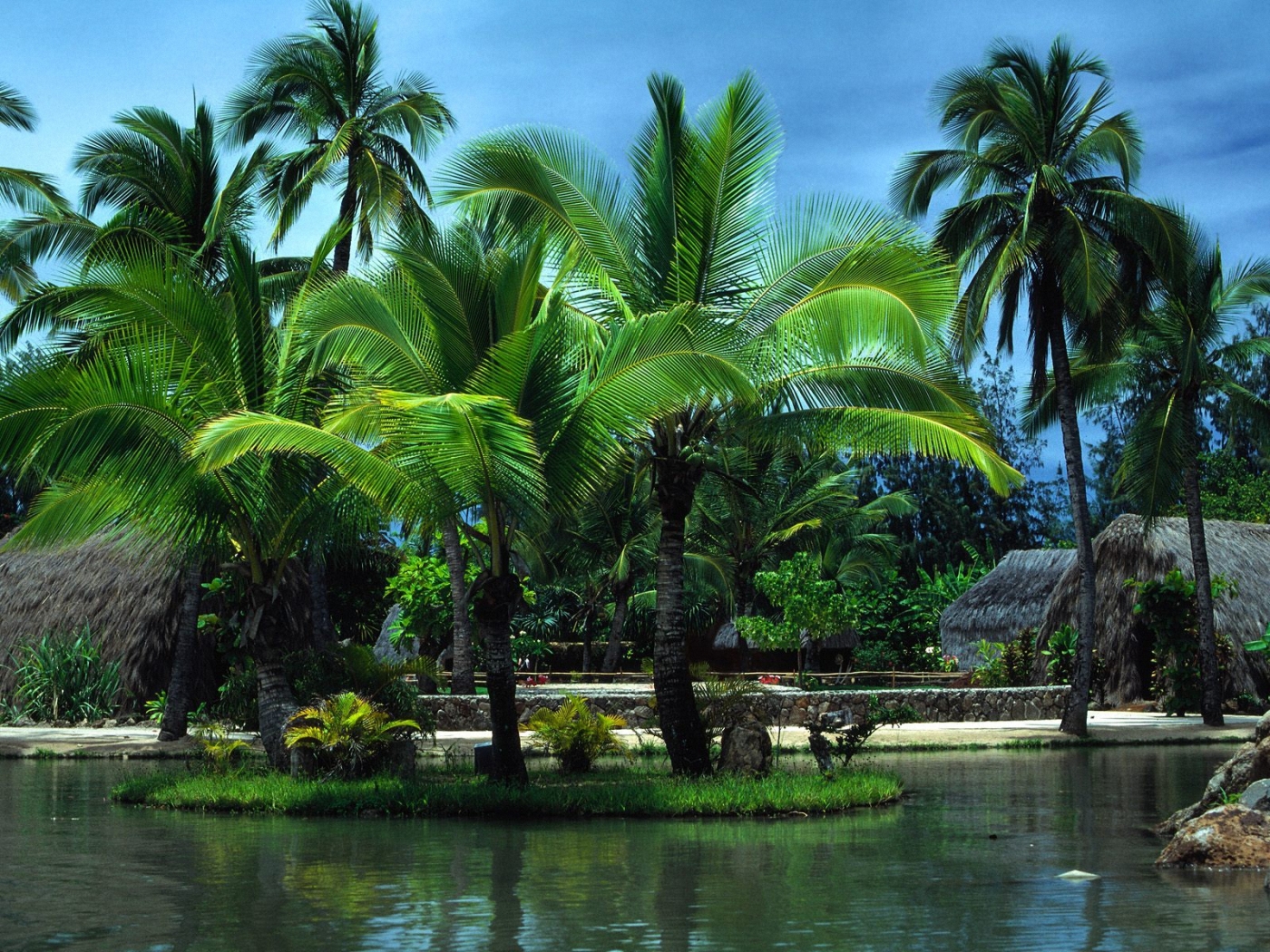 Download mobile wallpaper Palms, Landscape for free.