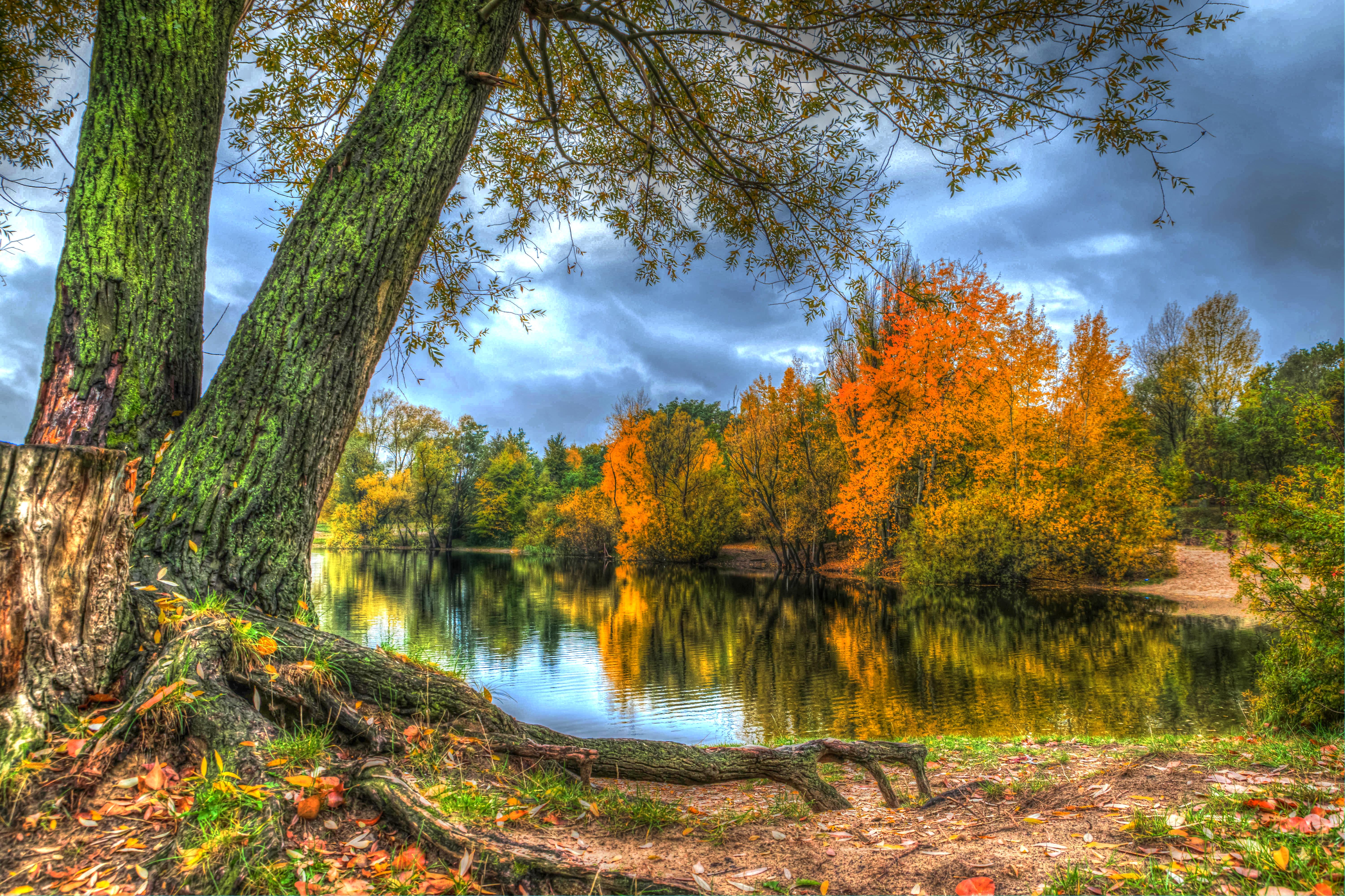 Осенние пейзажи осени. Золотая осень озеро природа река лес. Природа осенью. Красивая осень. Осень в лесу.