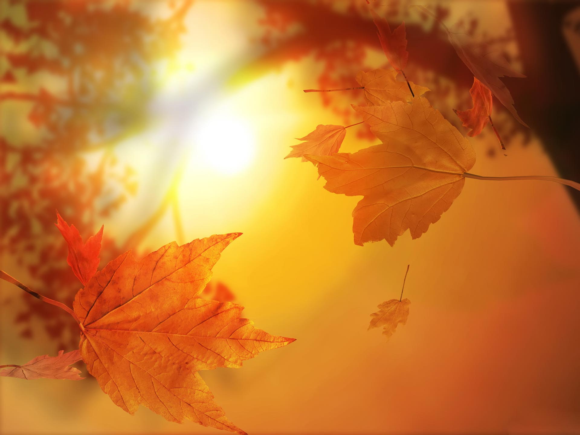 красивые строчки про осень под фото