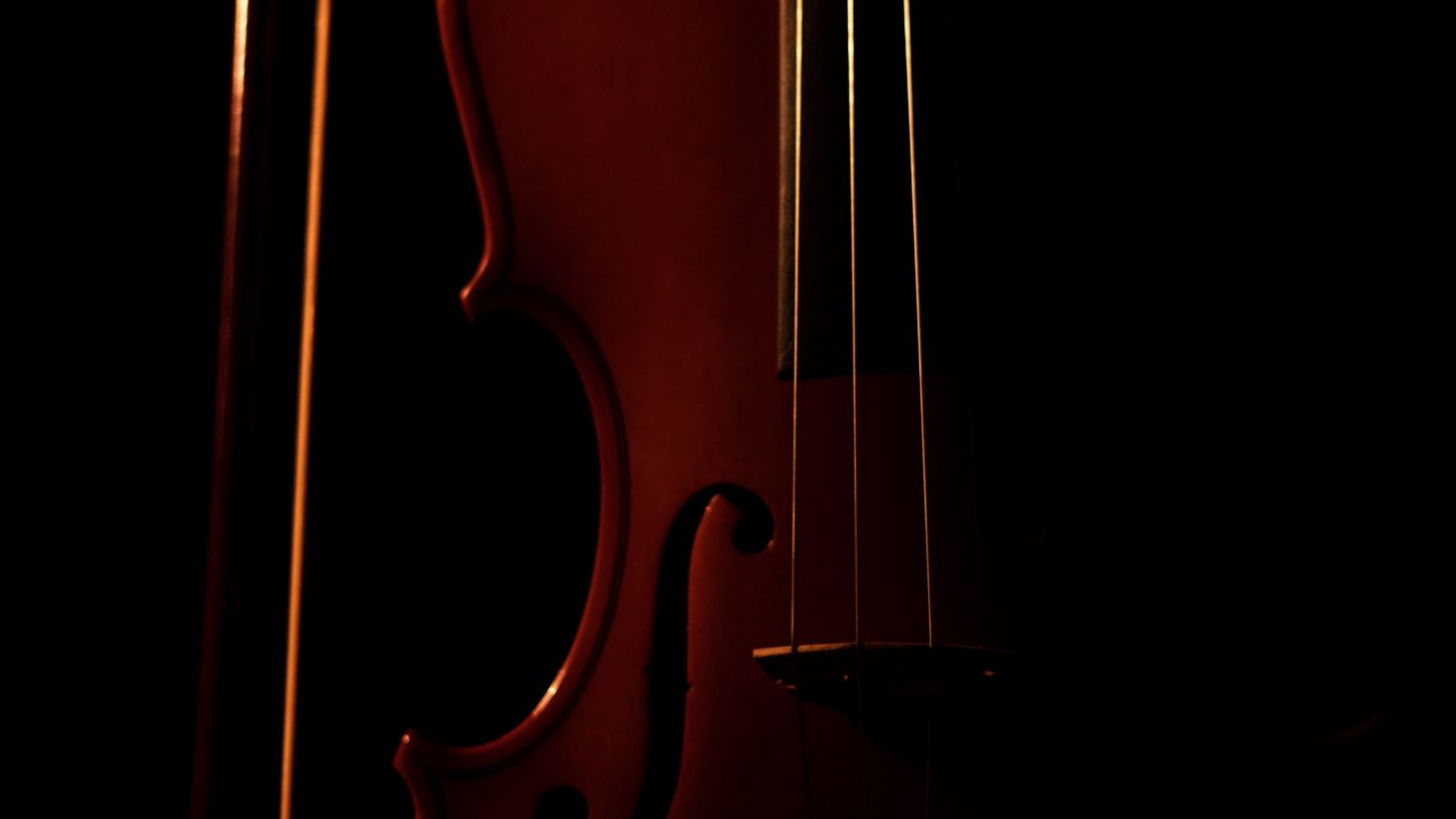 Скрипка париж. Фон Живая музыка темный. Обои вертикальные скрипка темные. Dark Violin. Sacouin Luthier Paris Violins.