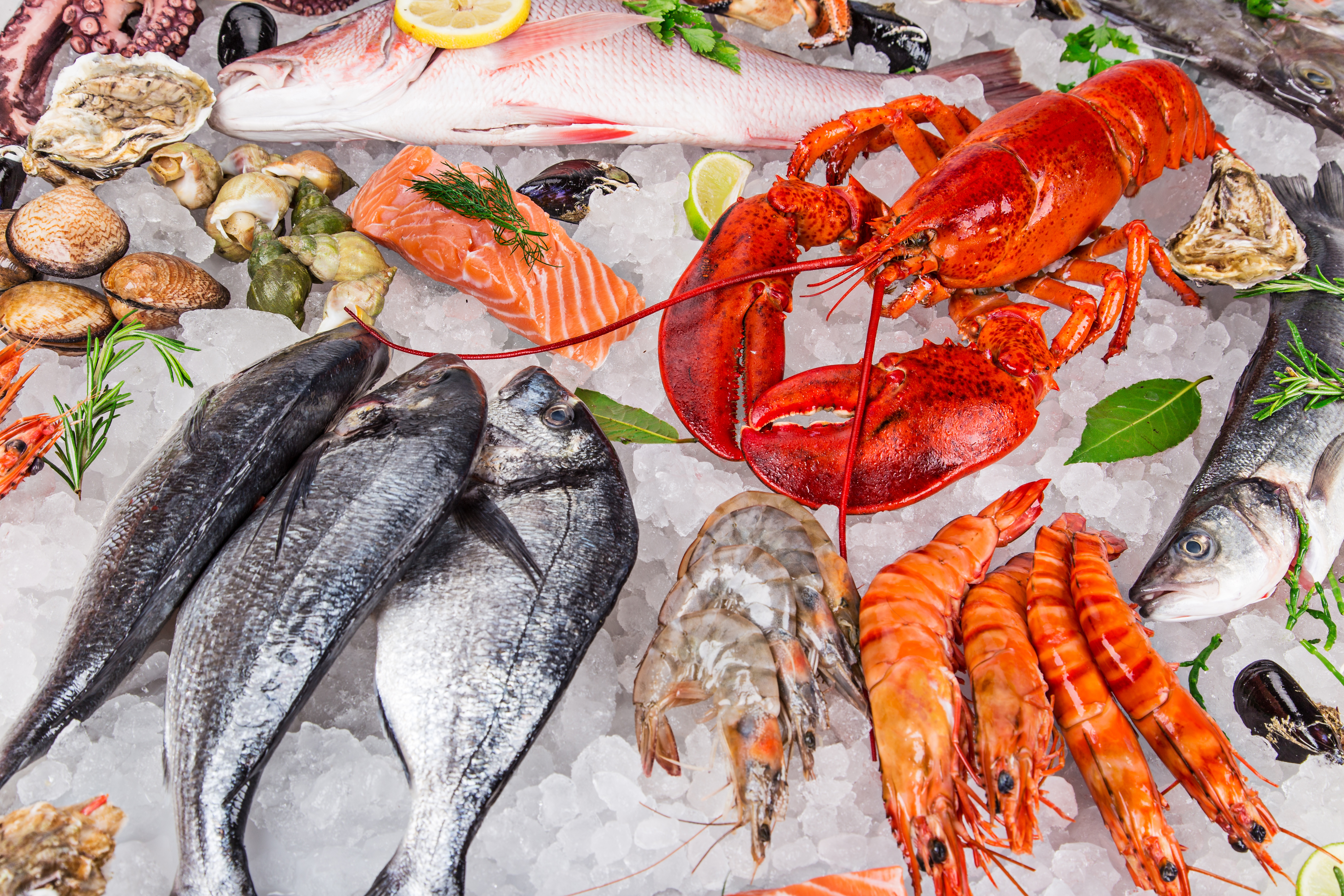 food, seafood, crustacean, fish, lobster, shrimp download HD wallpaper