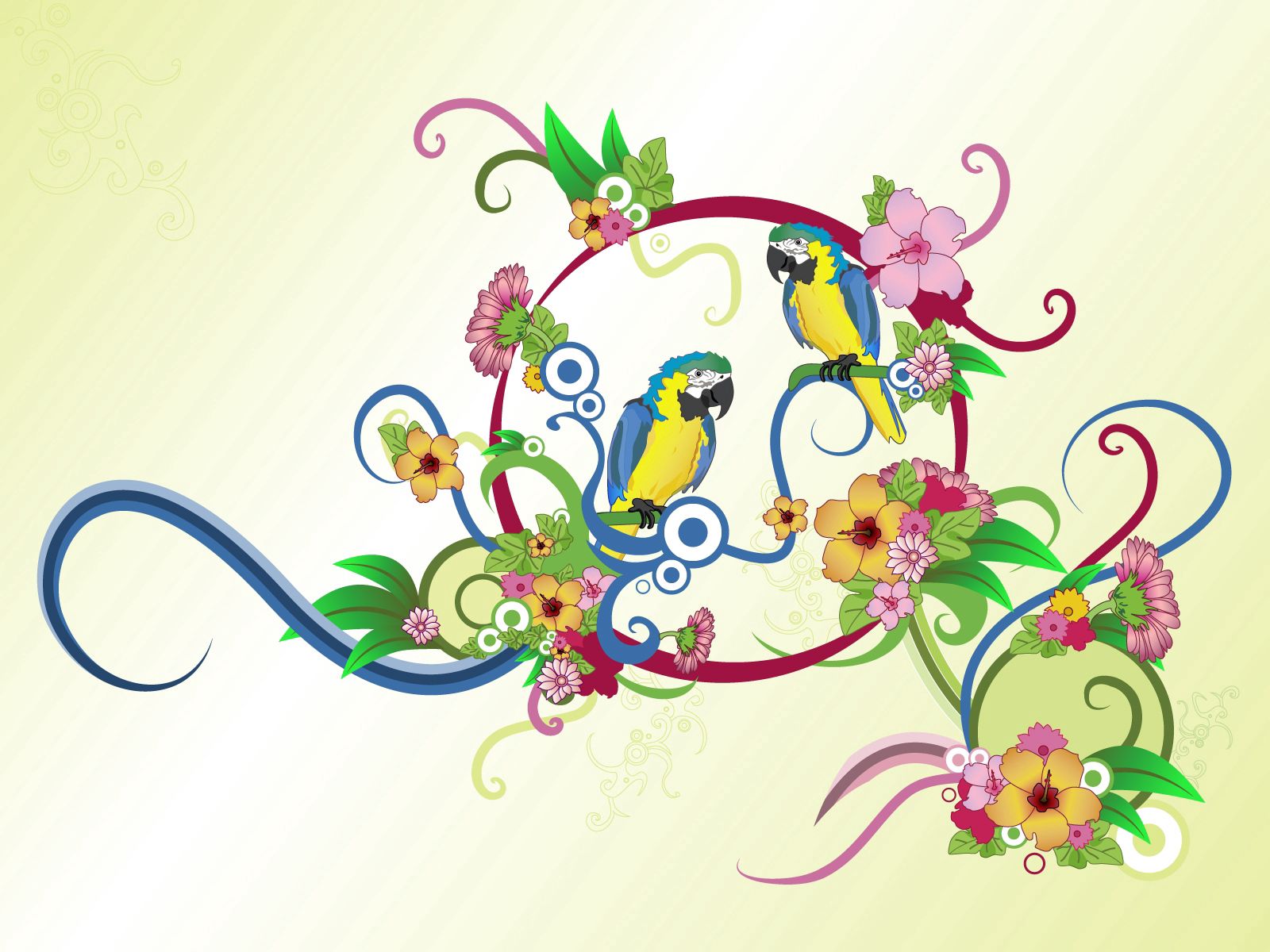 flowers, parrots, patterns, vector, multicolored, motley