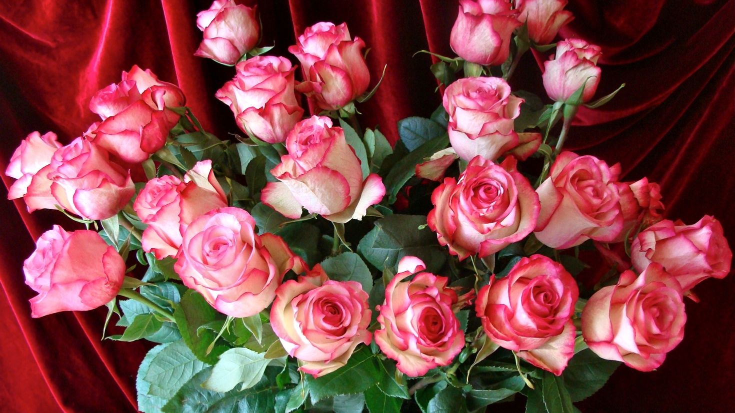 красивые букеты роз на день рождения