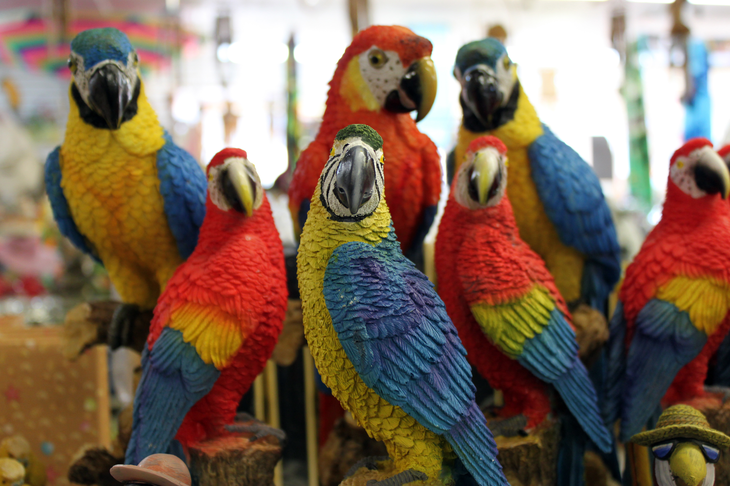 Download PC Wallpaper animal, macaw, bird, blue and yellow macaw, parrot, scarlet macaw, toy, birds