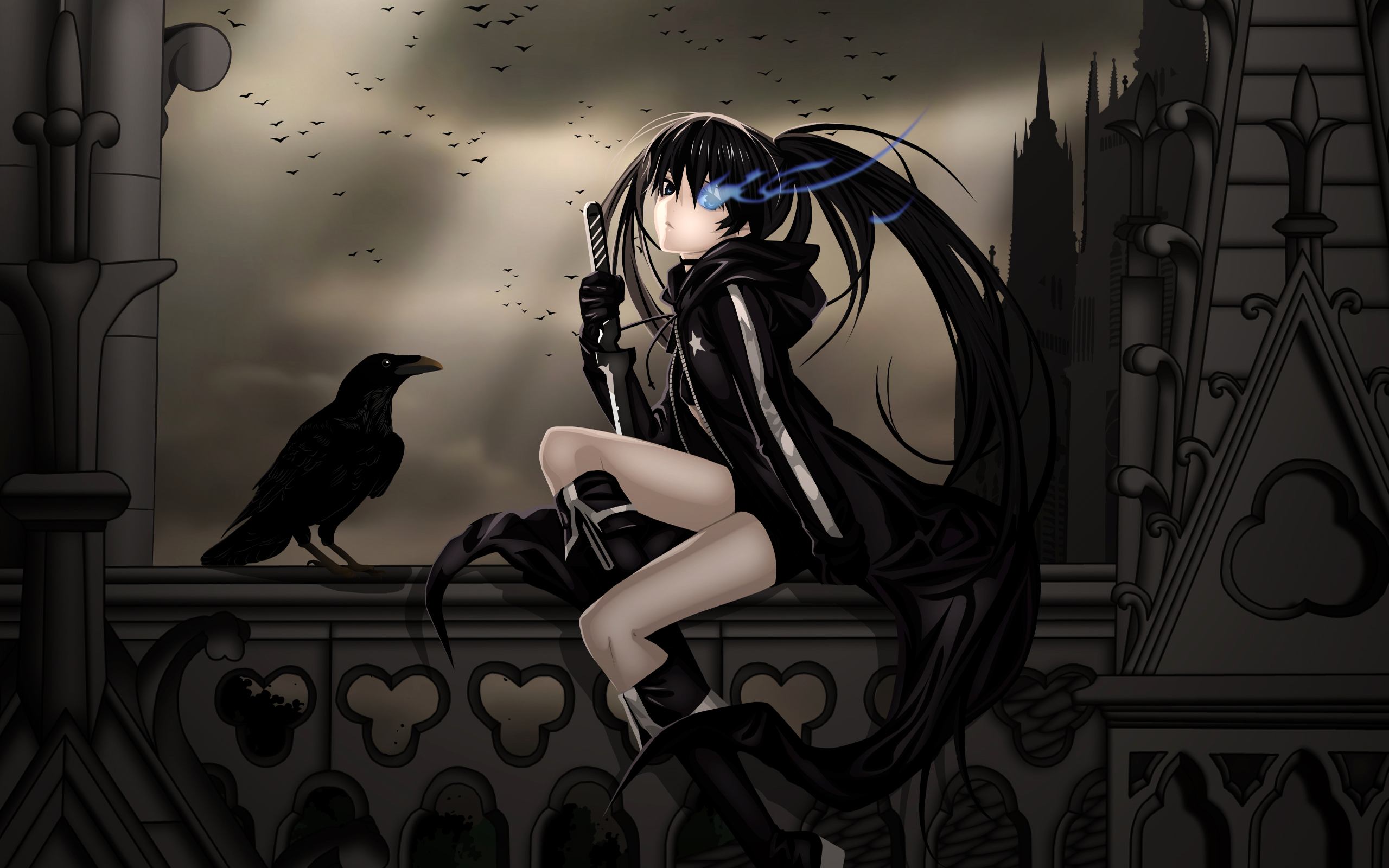anime, blue eyes, black rock shooter, bird, crow, raven mobile wallpaper