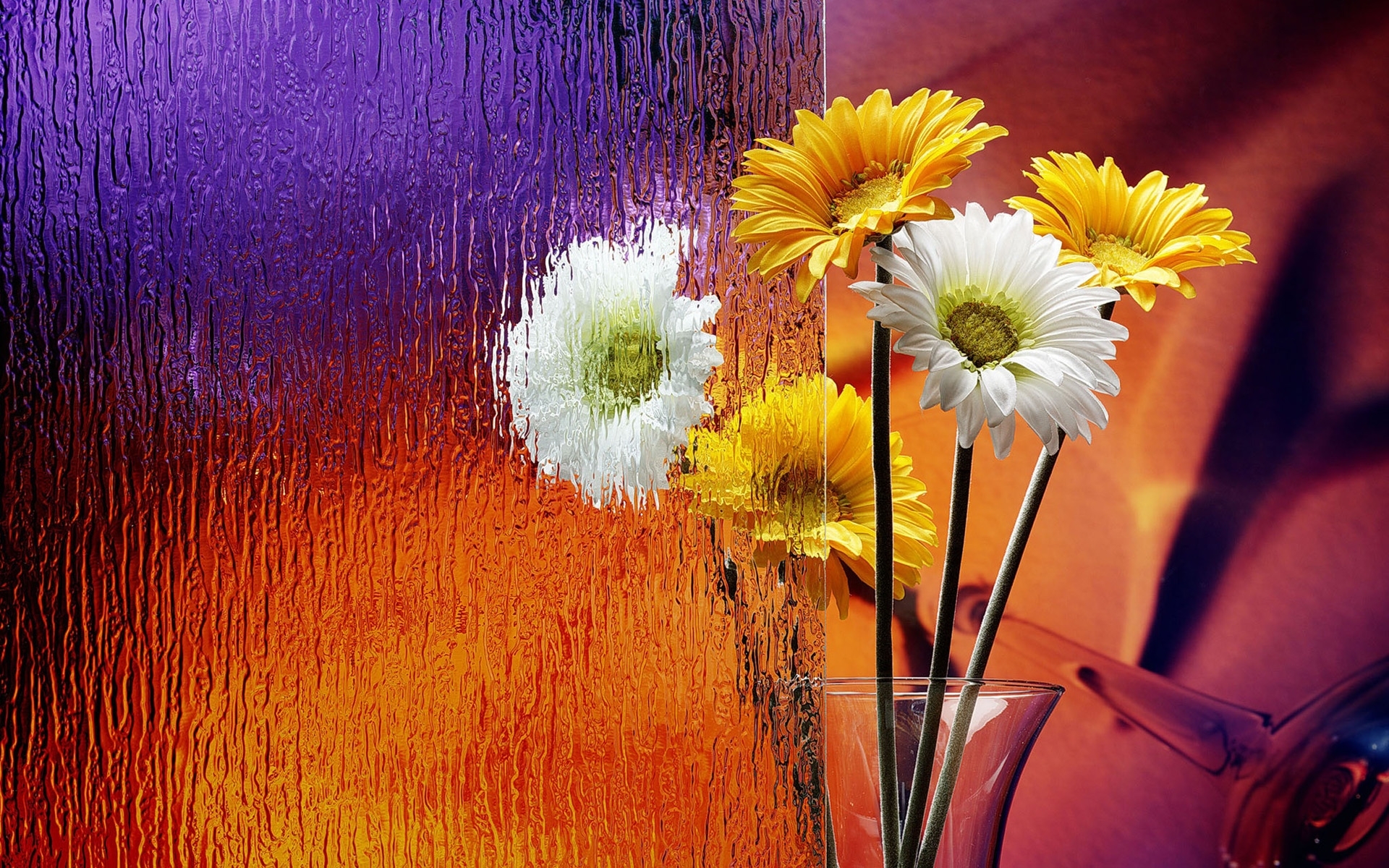 Handy-Wallpaper Blumen, Objekte, Pflanzen kostenlos herunterladen.