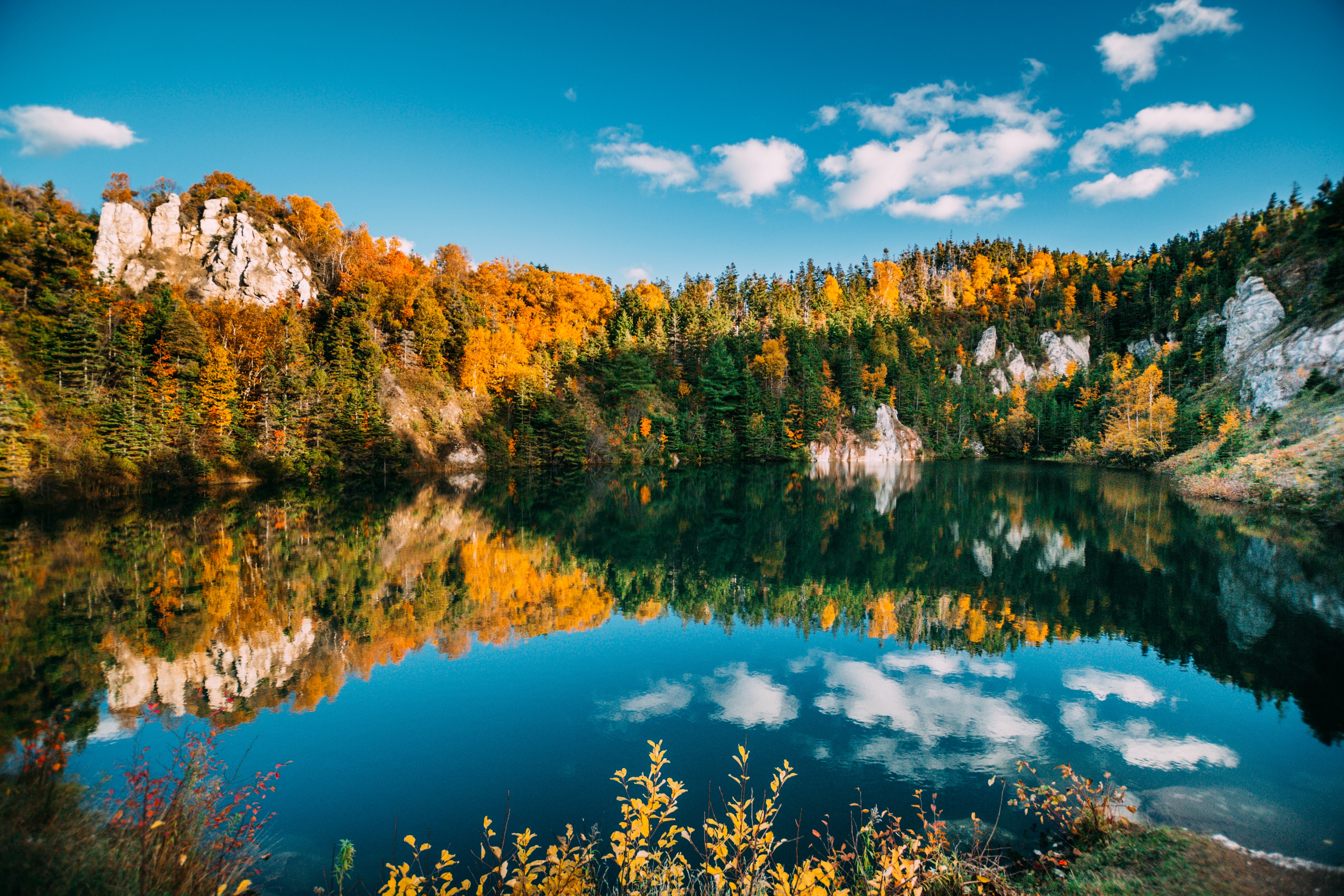 autumn, nature, water, trees, lake, reflection Panoramic Wallpaper