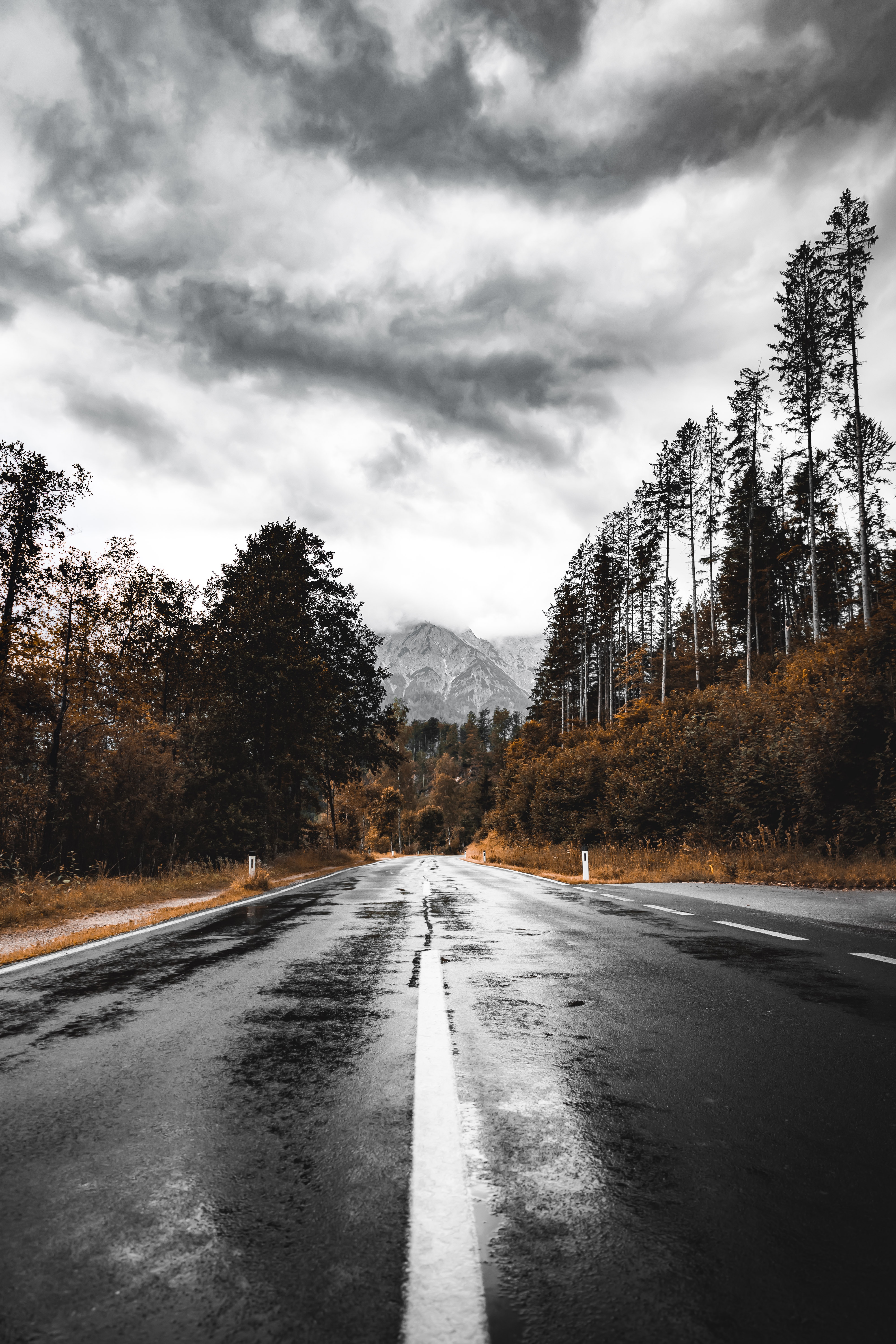 mountains, wet, nature, road, forest, asphalt High Definition image