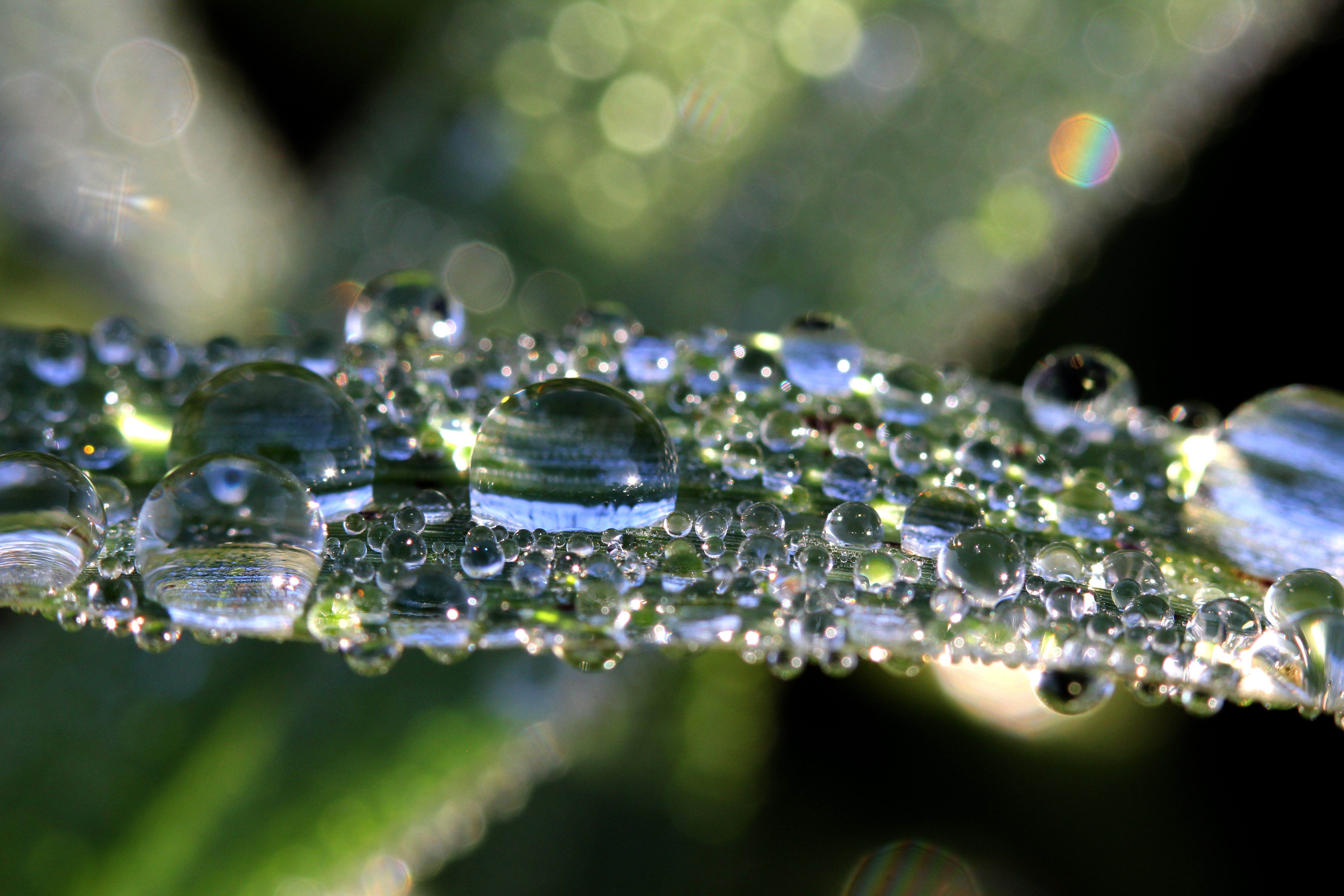 Download mobile wallpaper Nature, Reflection, Macro, Earth, Water Drop for free.