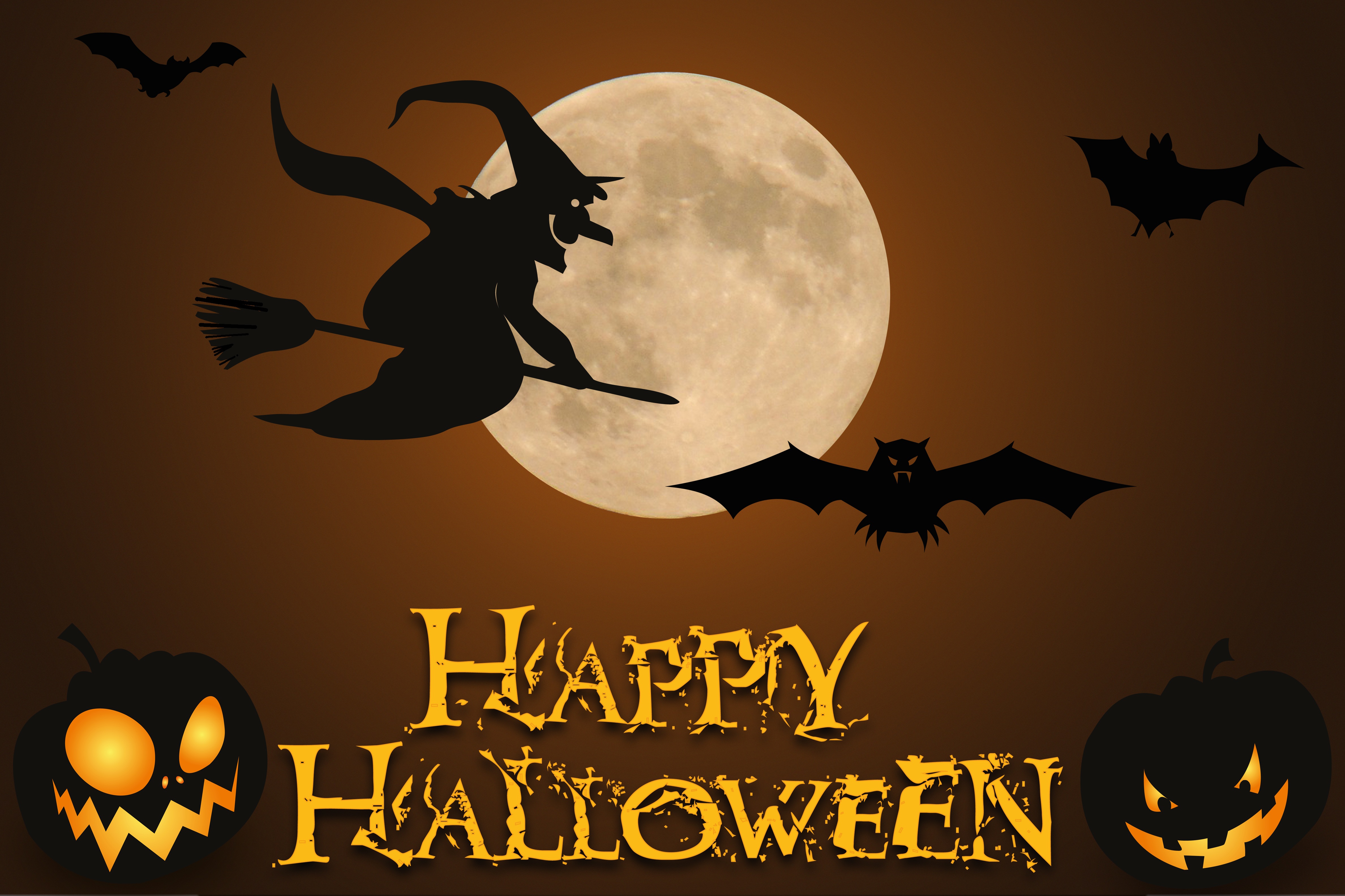 holiday, halloween, bat, happy halloween, jack o' lantern, moon, witch FHD, 4K, UHD