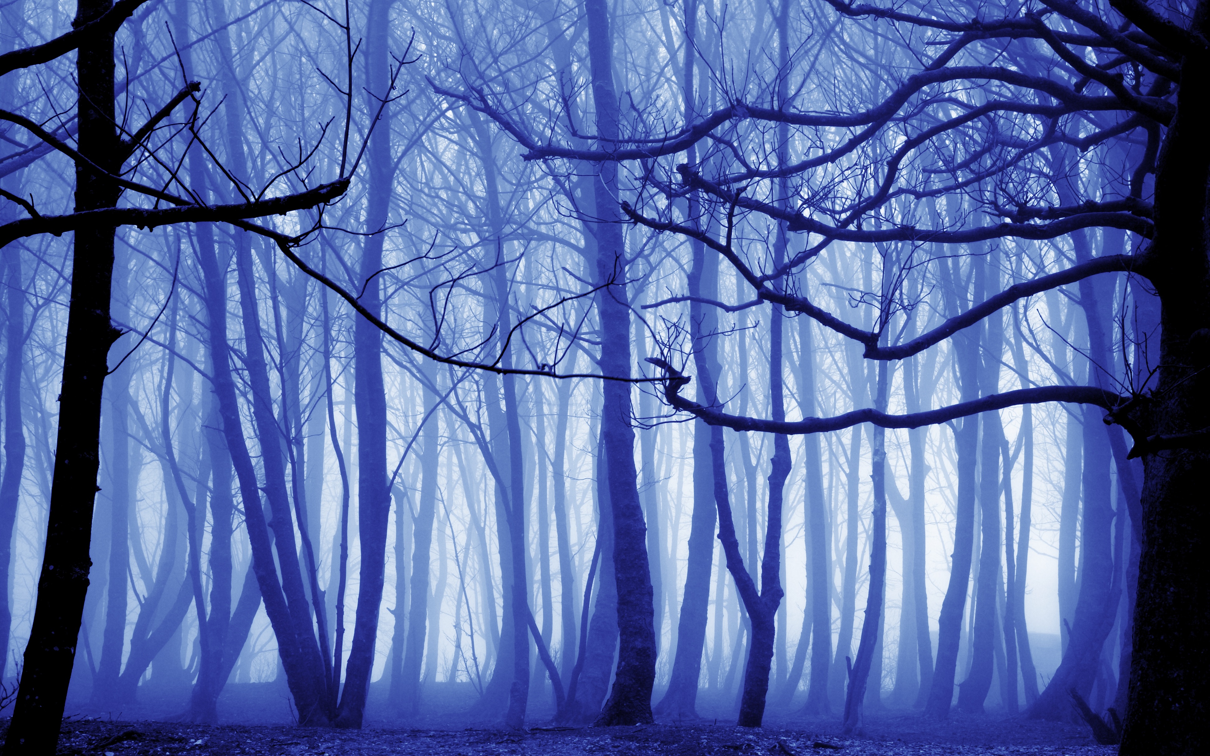 167734 скачать обои туман, зима, земля/природа, лес, сюрреалестичный - заставки и картинки бесплатно
