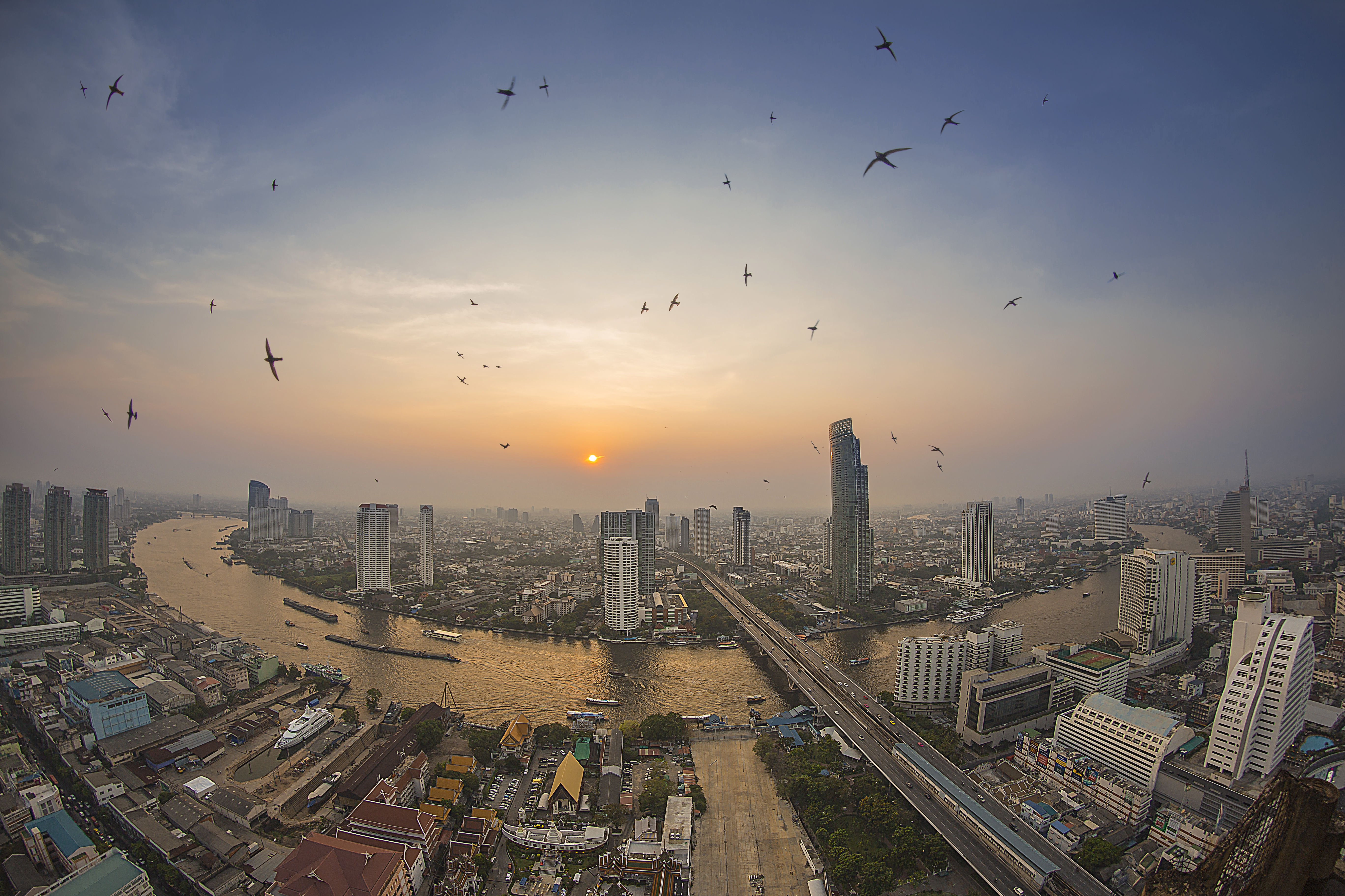 thailand, megapolis, sunset, man made, bangkok, bird, flying, river, sky, sun, swallow, cities