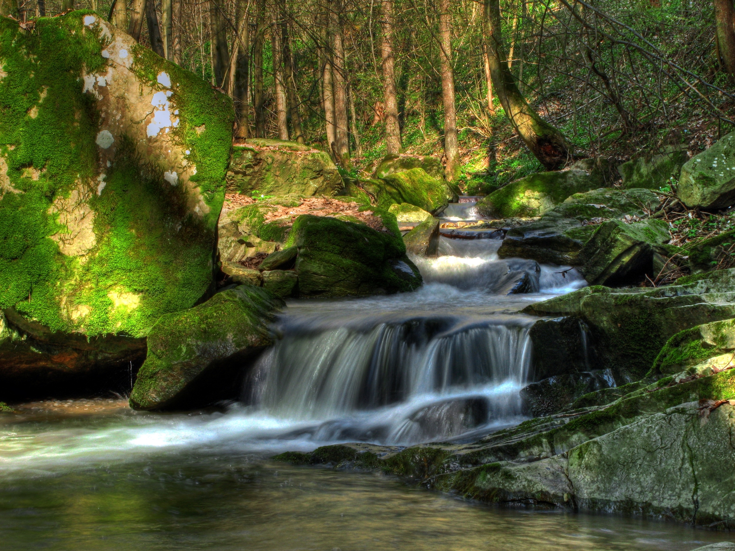 flow, austria, nature, trees, waterfall, vegetation, klein pöchlarn, klein pehlarn, stream