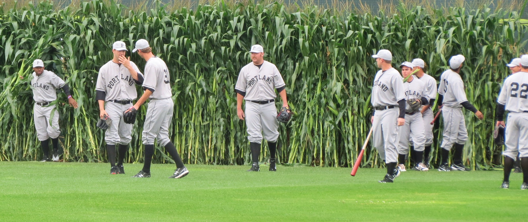 Happy Wallpaper Wednesday - Field of Dreams Movie Site