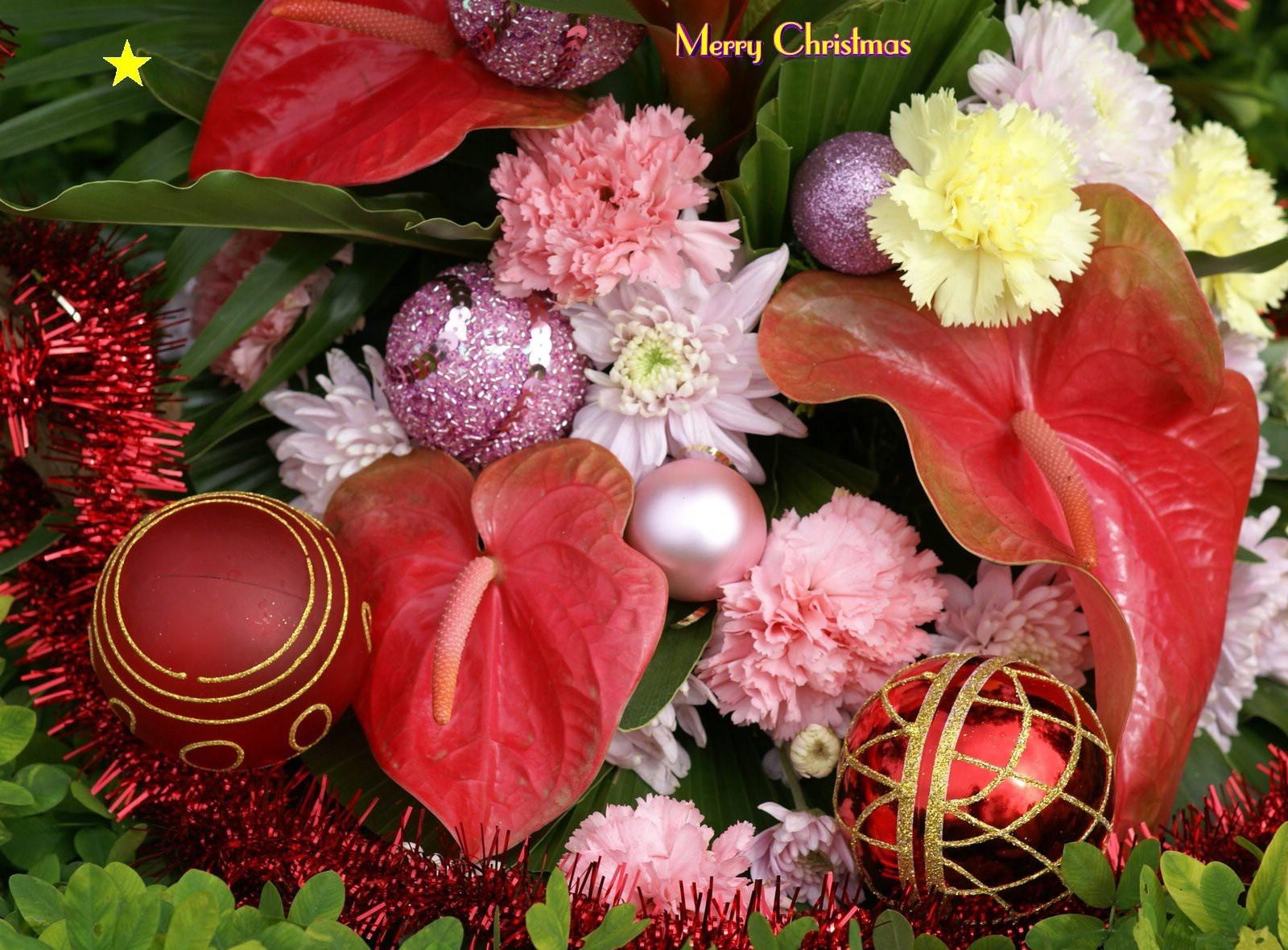 holidays, carnations, christmas, greens, inscription, christmas decorations, christmas tree toys, tinsel, anthurium Image for desktop