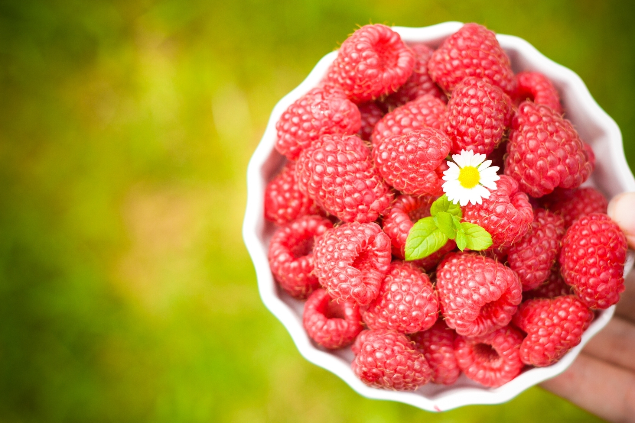 Download mobile wallpaper Bowl, Ripe, Food, Raspberry, Smooth, Flower, Blur for free.