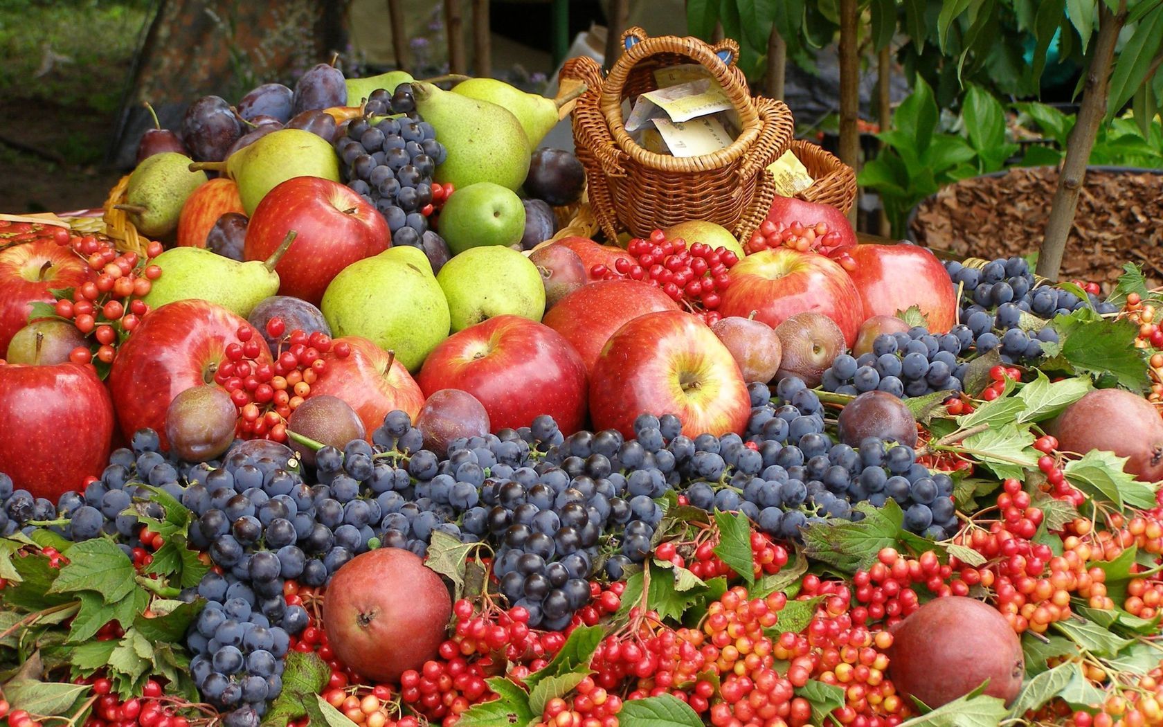 Horizontal Wallpaper food, fruits