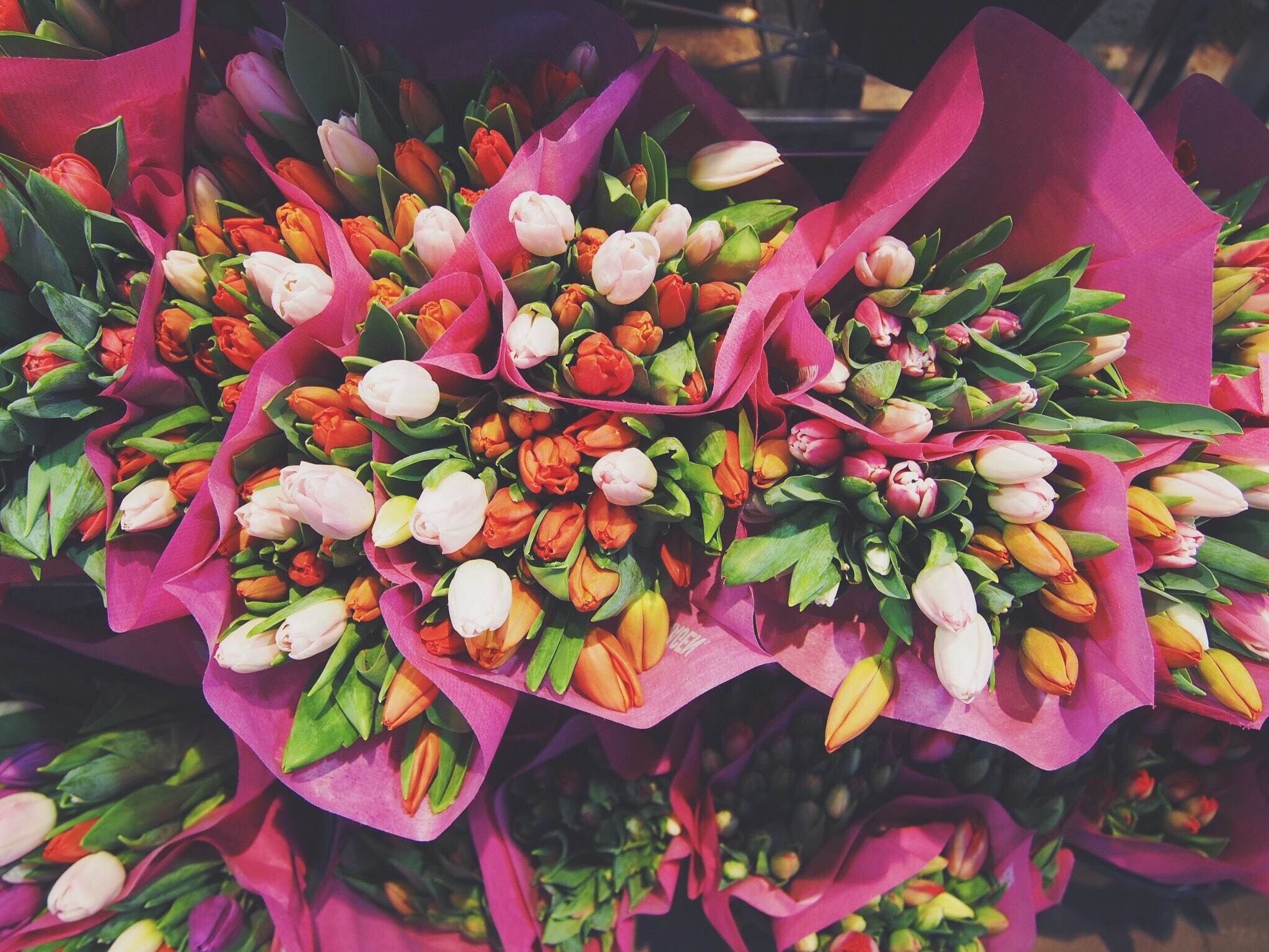 flowers, tulips, bouquets