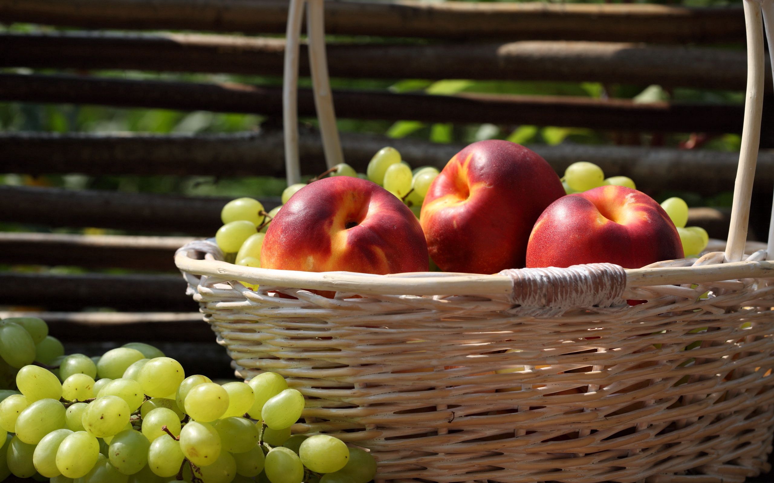 88903 скачать картинку яблоки, урожай, еда, виноград, корзина - обои и заставки бесплатно