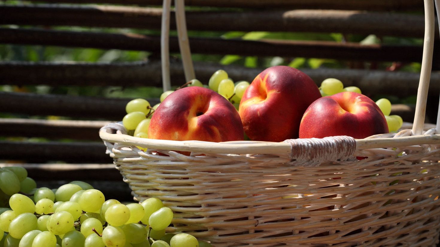 Виноград и яблоки