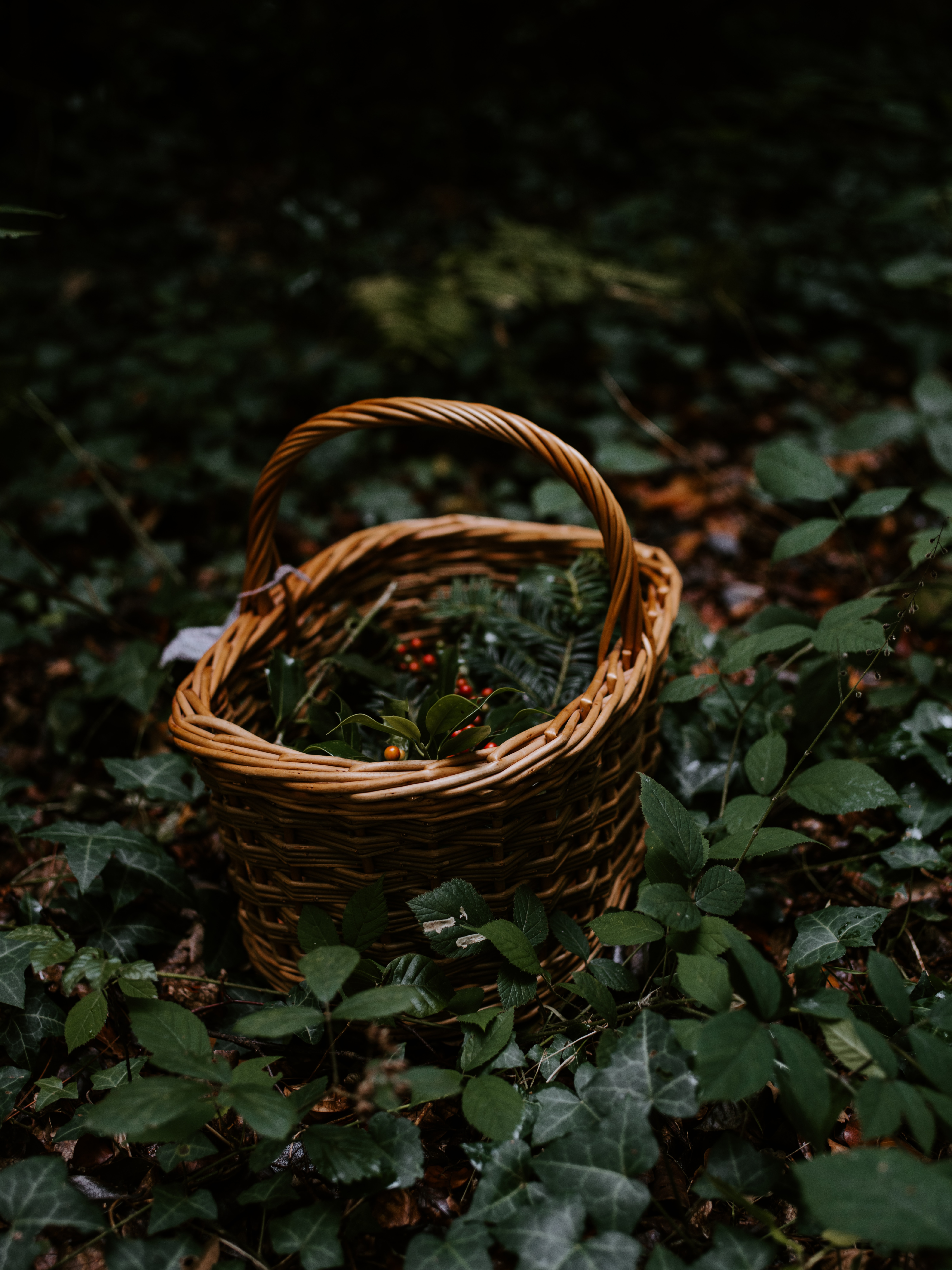 Download mobile wallpaper Basket, Wicker, Branches, Braided, Miscellanea, Berries, Nature, Miscellaneous for free.