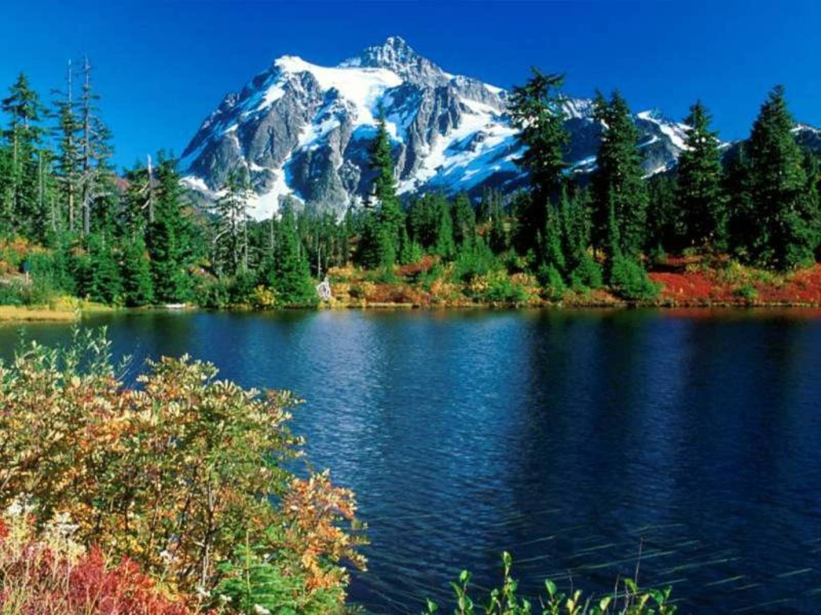 8944 скачать обои озера, пейзаж, горы, синие, деревья - заставки и картинки бесплатно