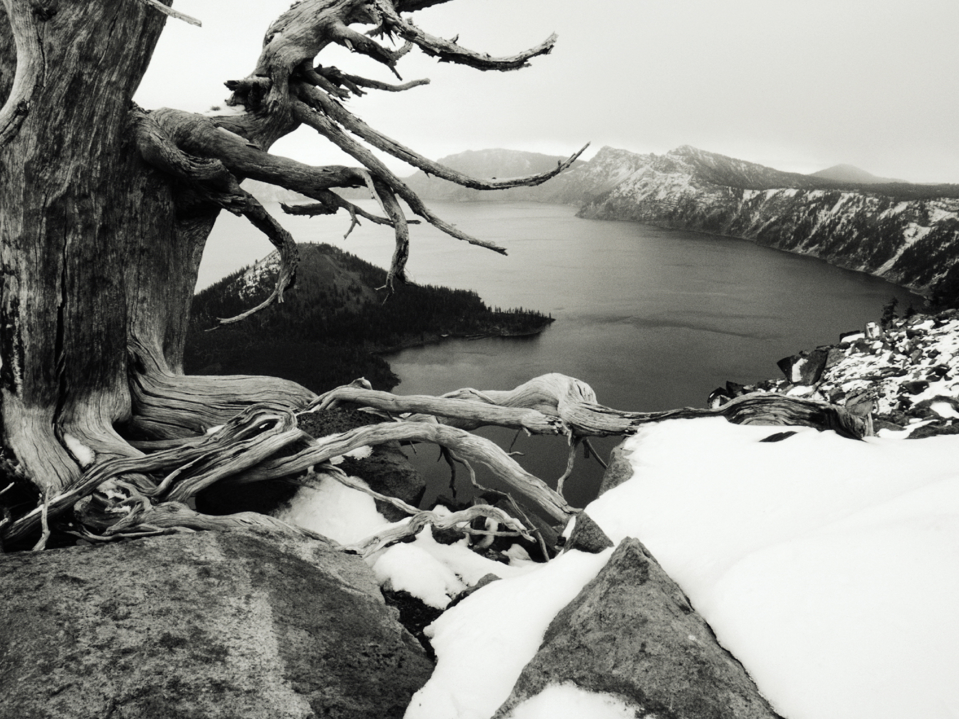 winter, black & white, landscape, earth, mountain Full HD