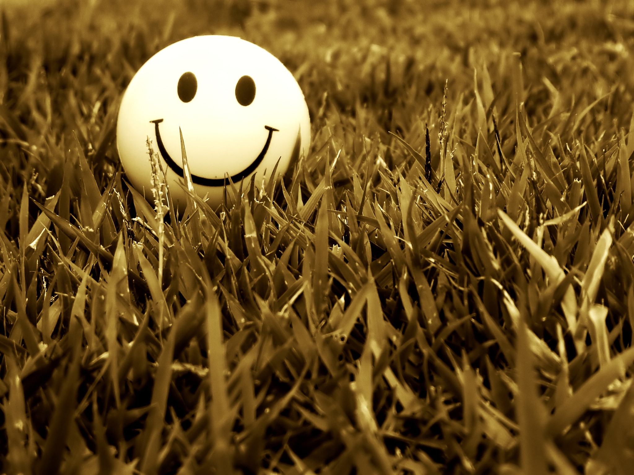 smile, grass, miscellanea, miscellaneous, mood Full HD