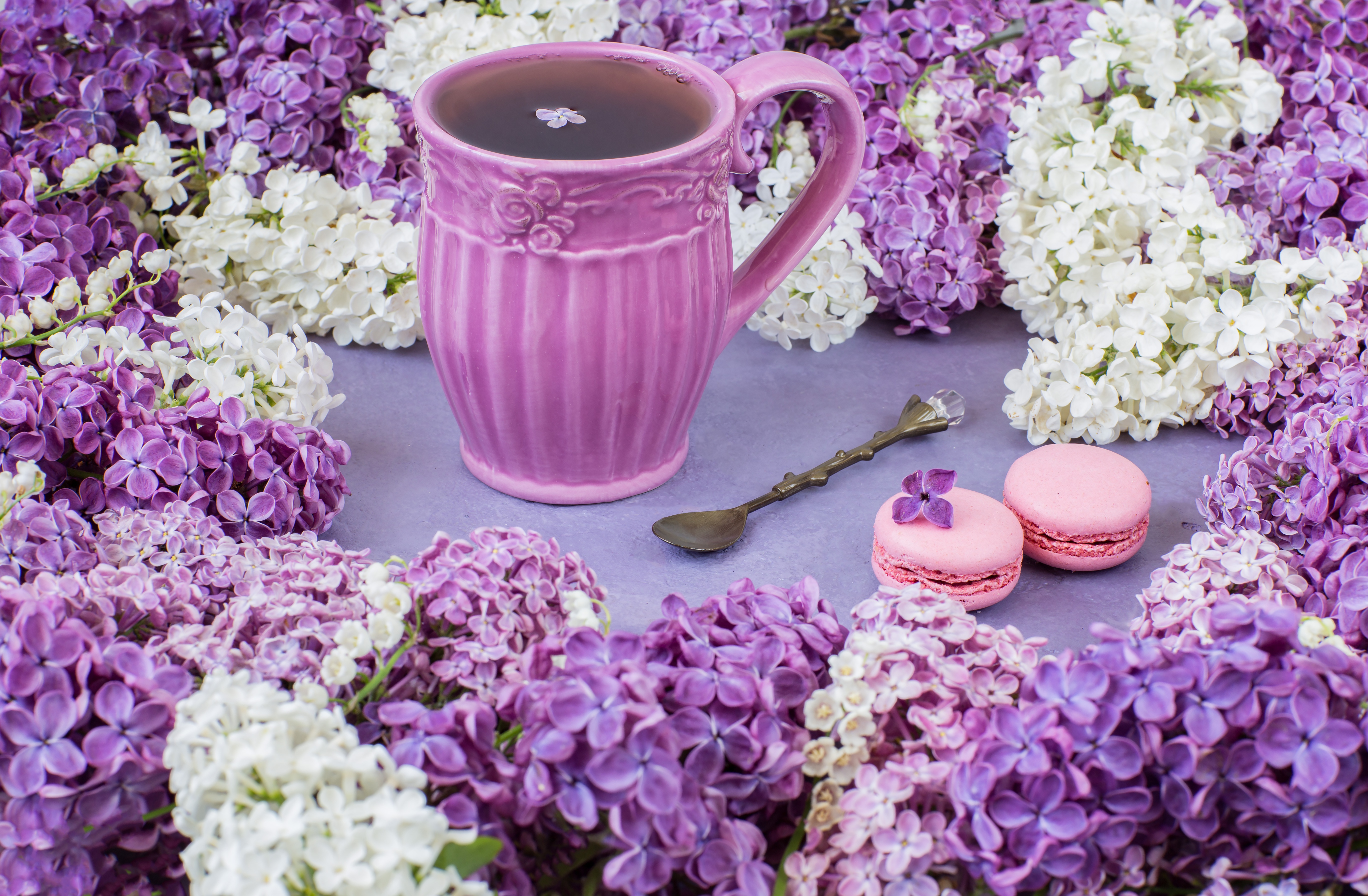 Cups flowers. Сирень цветы. Чай с сиренью. Сирень и Кружка чая. Цветы в чашке.