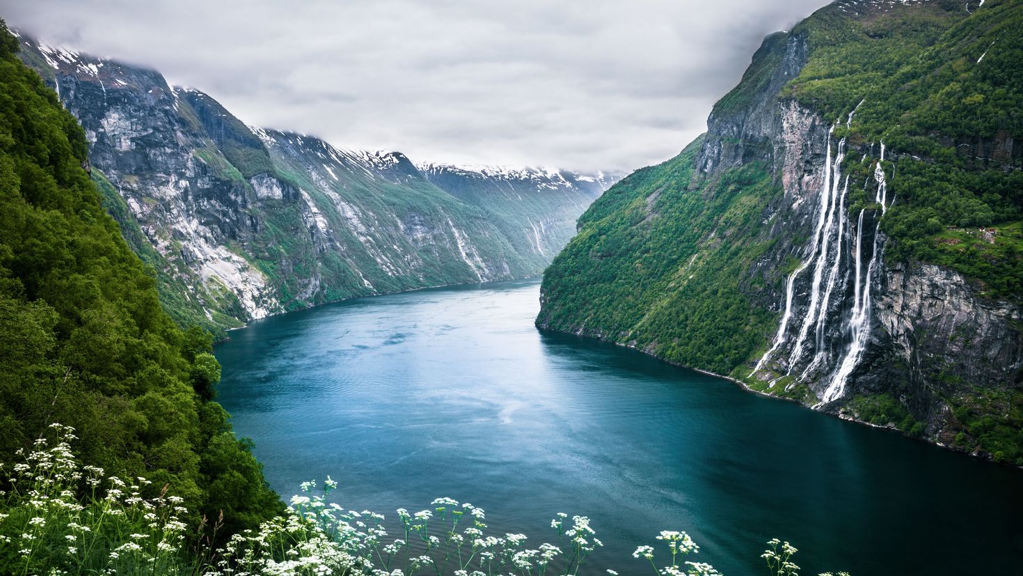 Norway nature отзывы