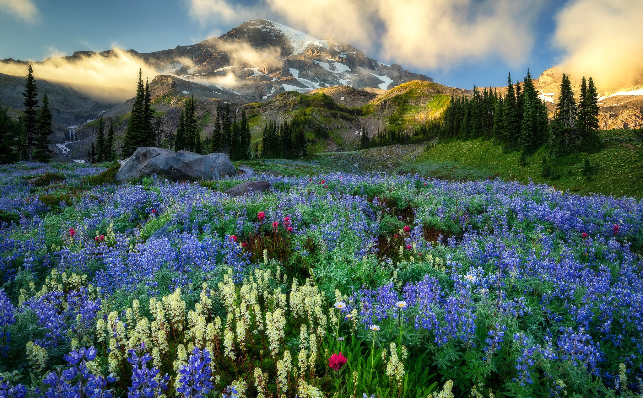 Красивые картинки с природой и цветами на телефон