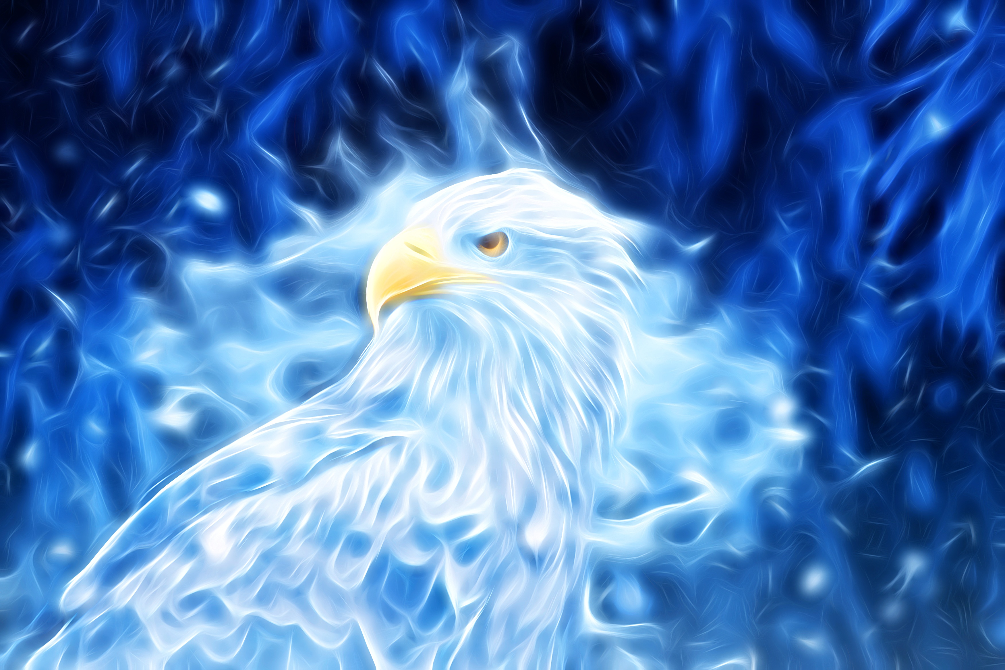 Синий Орел птица