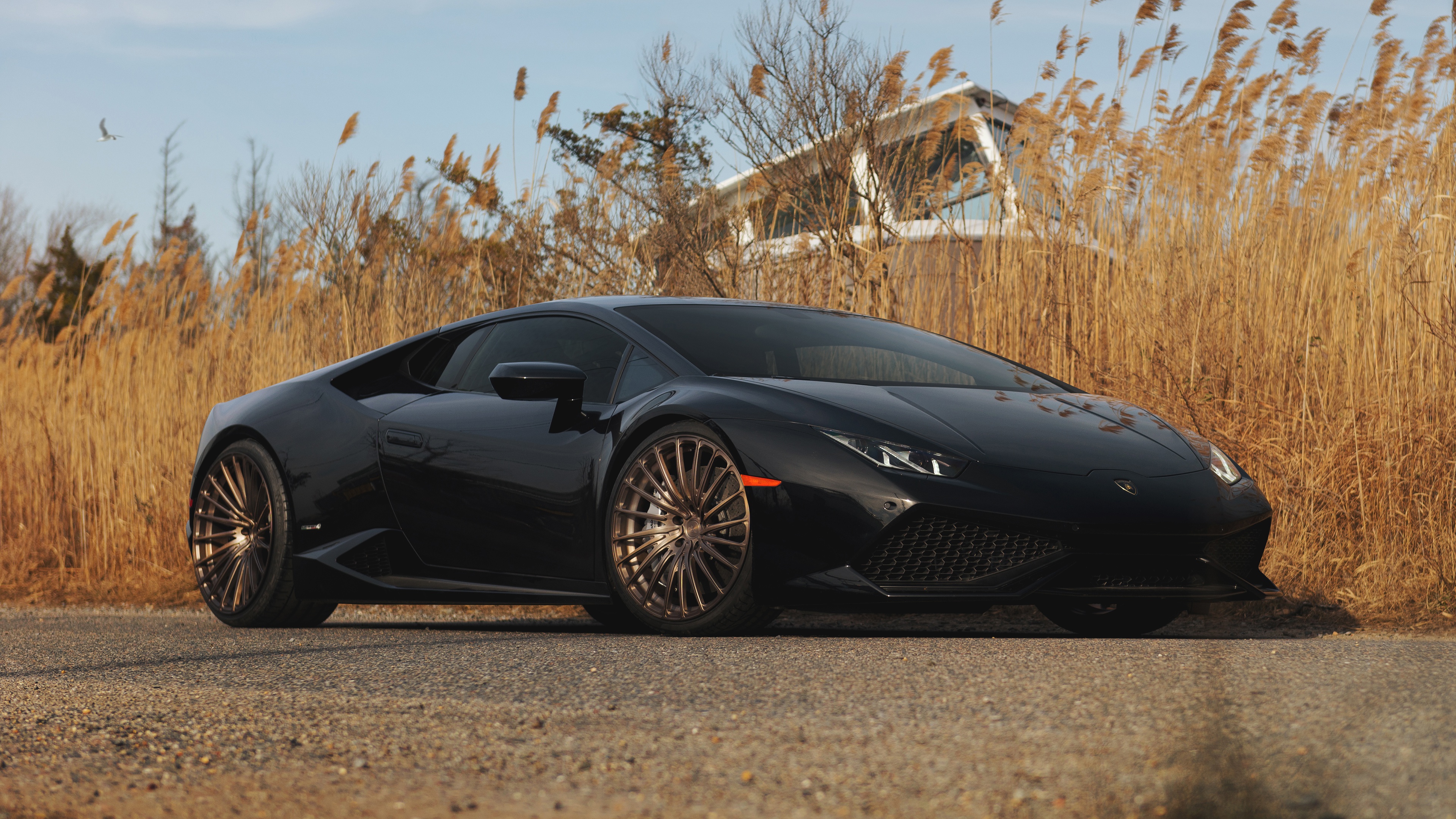 Lamborghini 4k Black