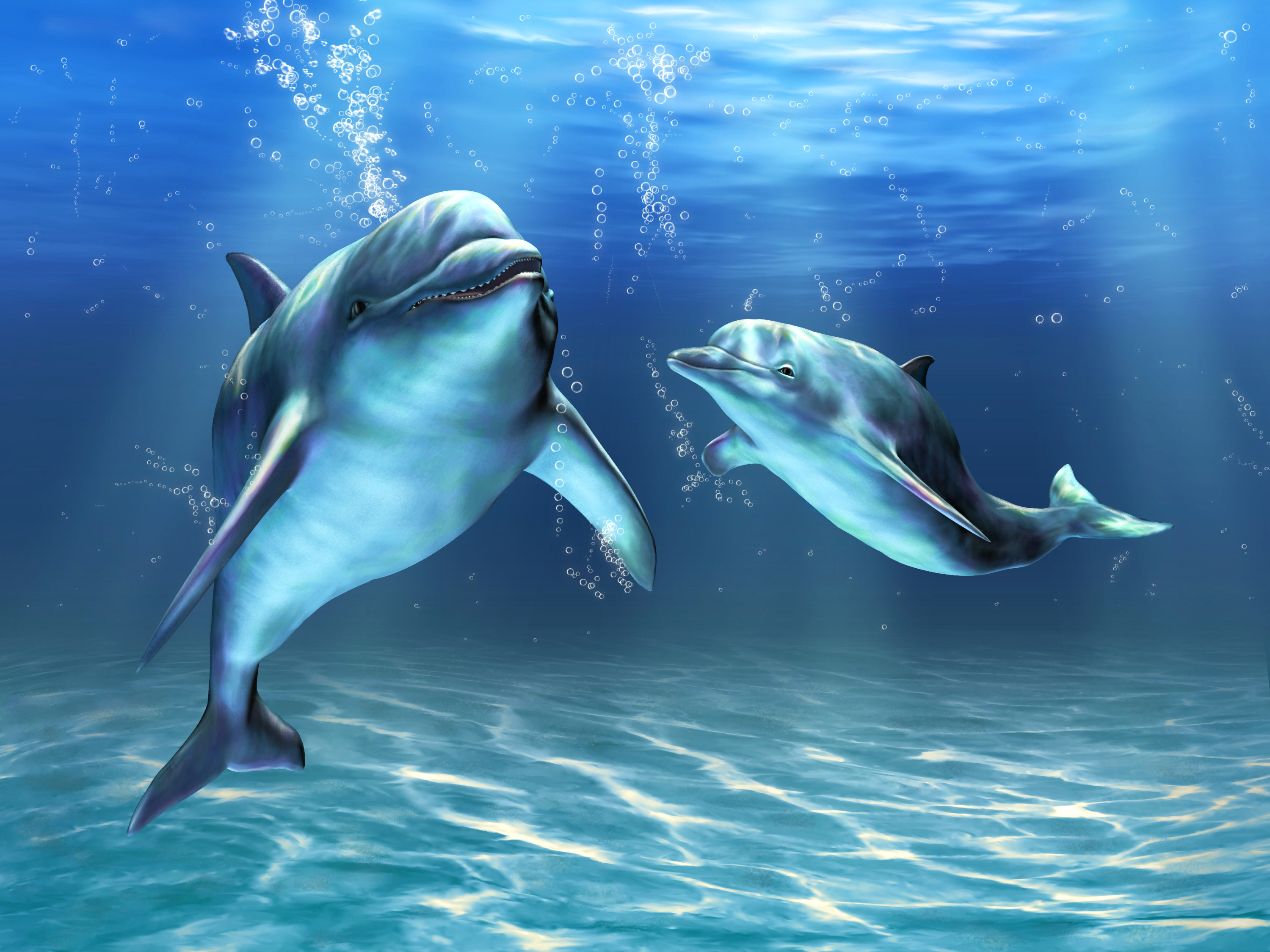 Tropical Evening Dolphins  remarkable wall mural  Photowall