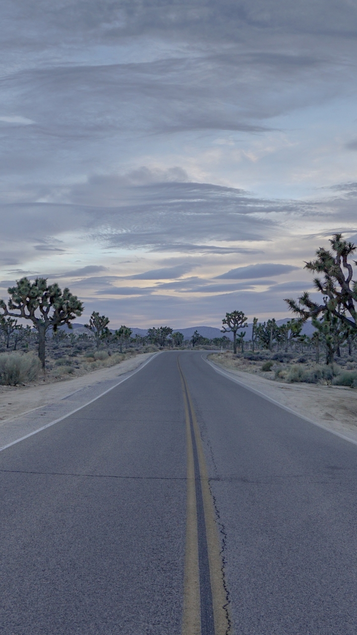 Download mobile wallpaper Desert, Road, California, Highway, Man Made, Joshua Tree National Park for free.