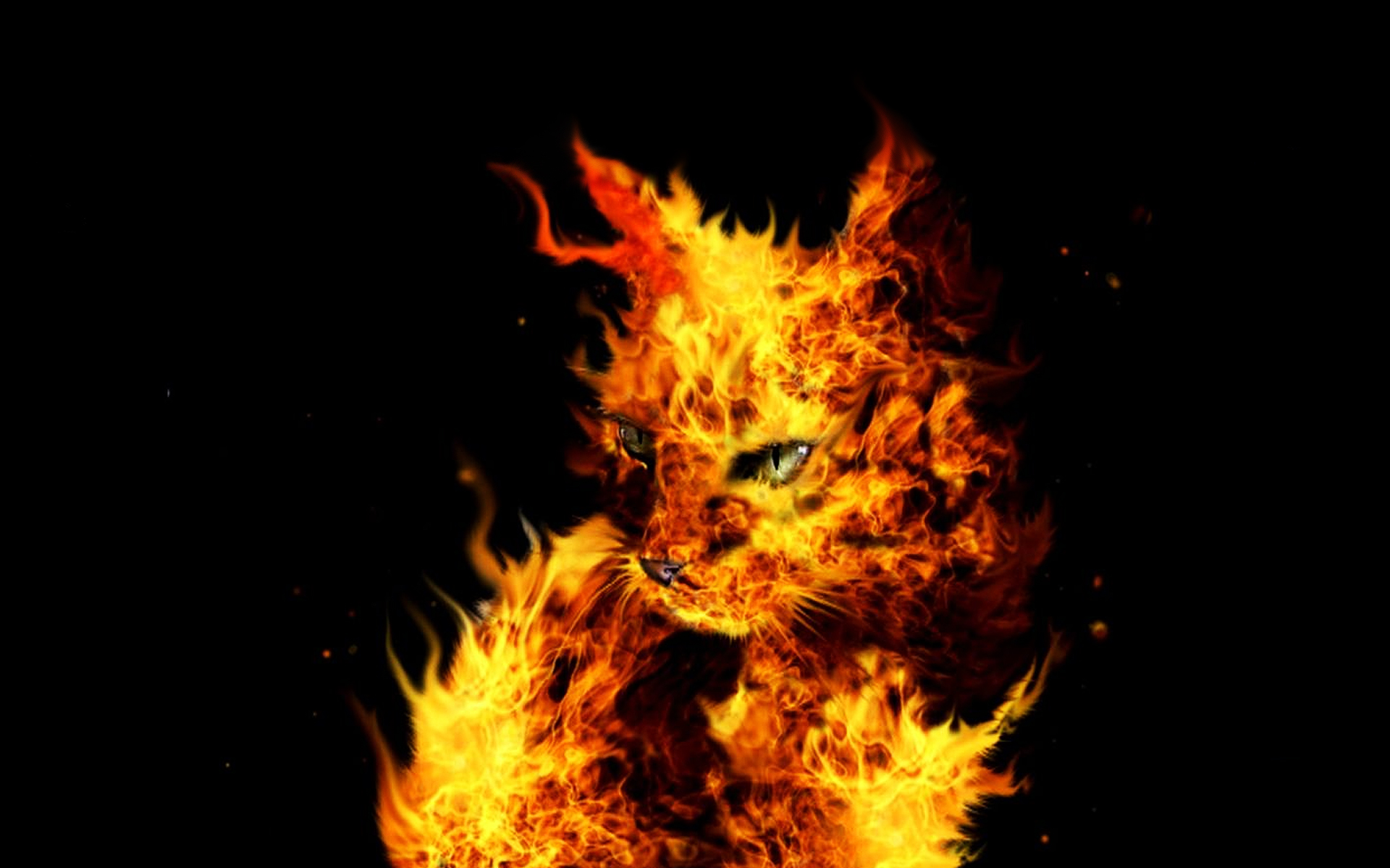 animal, artistic, cat, flame HD for desktop 1080p