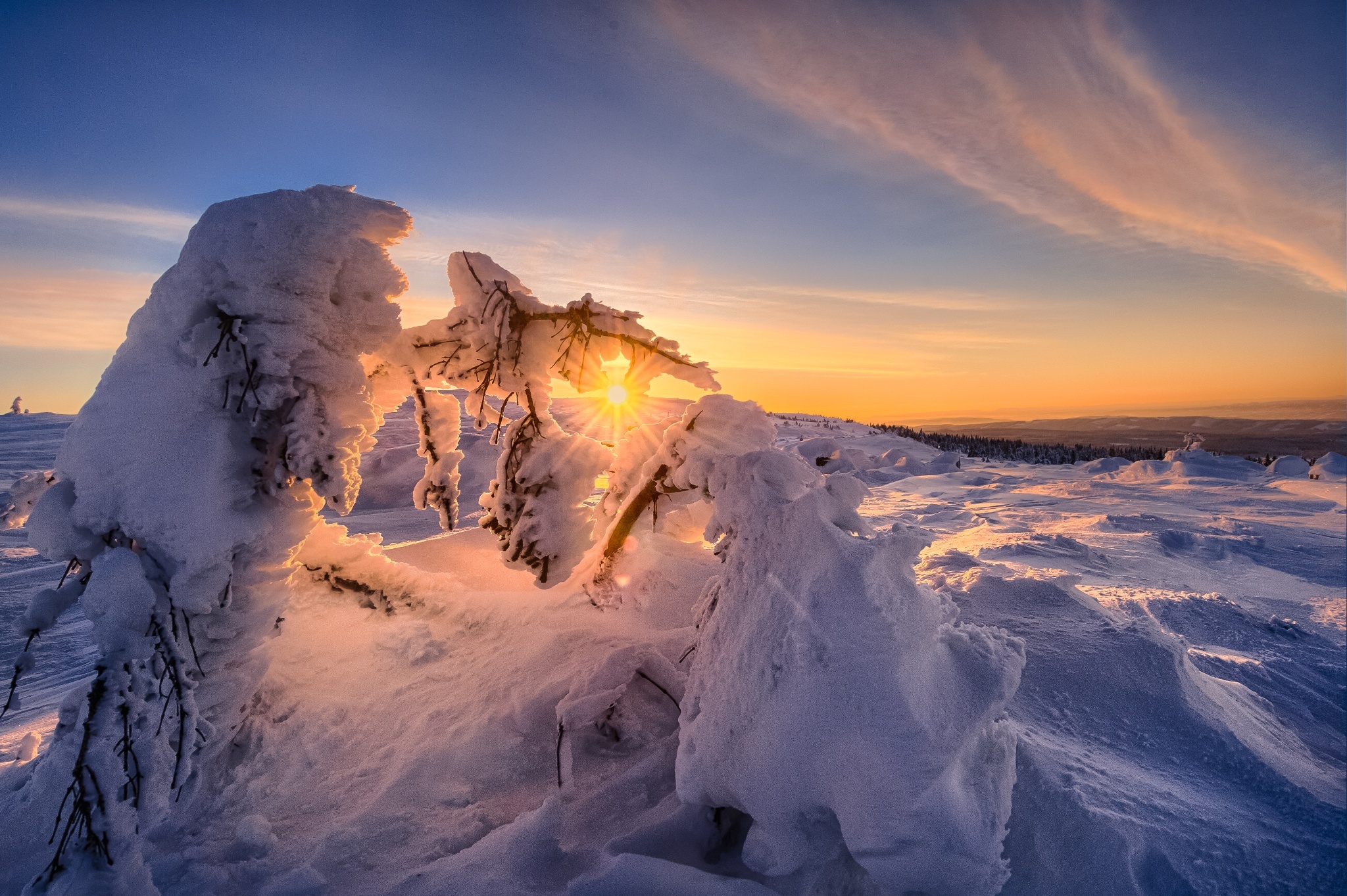 Free download wallpaper Landscape, Winter, Nature, Sunset, Sky, Snow, Tree, Earth, Sunbeam on your PC desktop