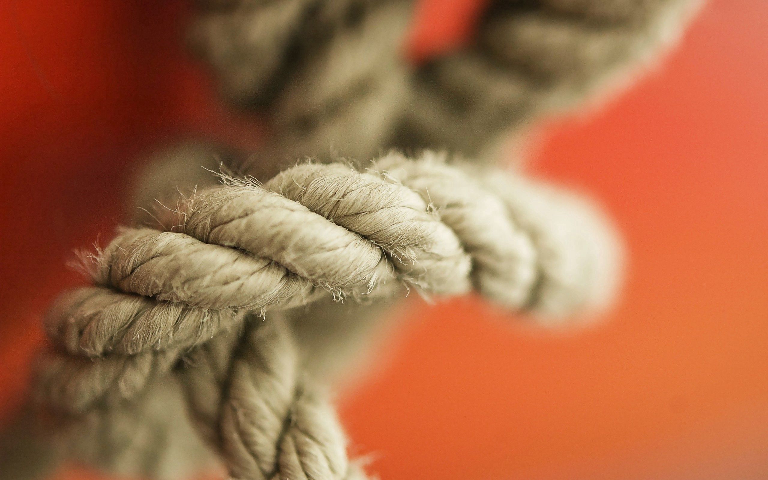 miscellanea, miscellaneous, blur, smooth, cable, rope