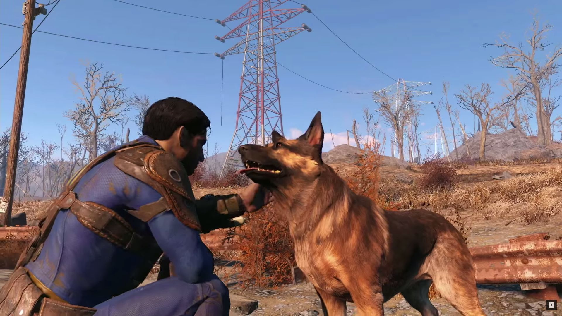Fallout 4 бессмертие собаки фото 91
