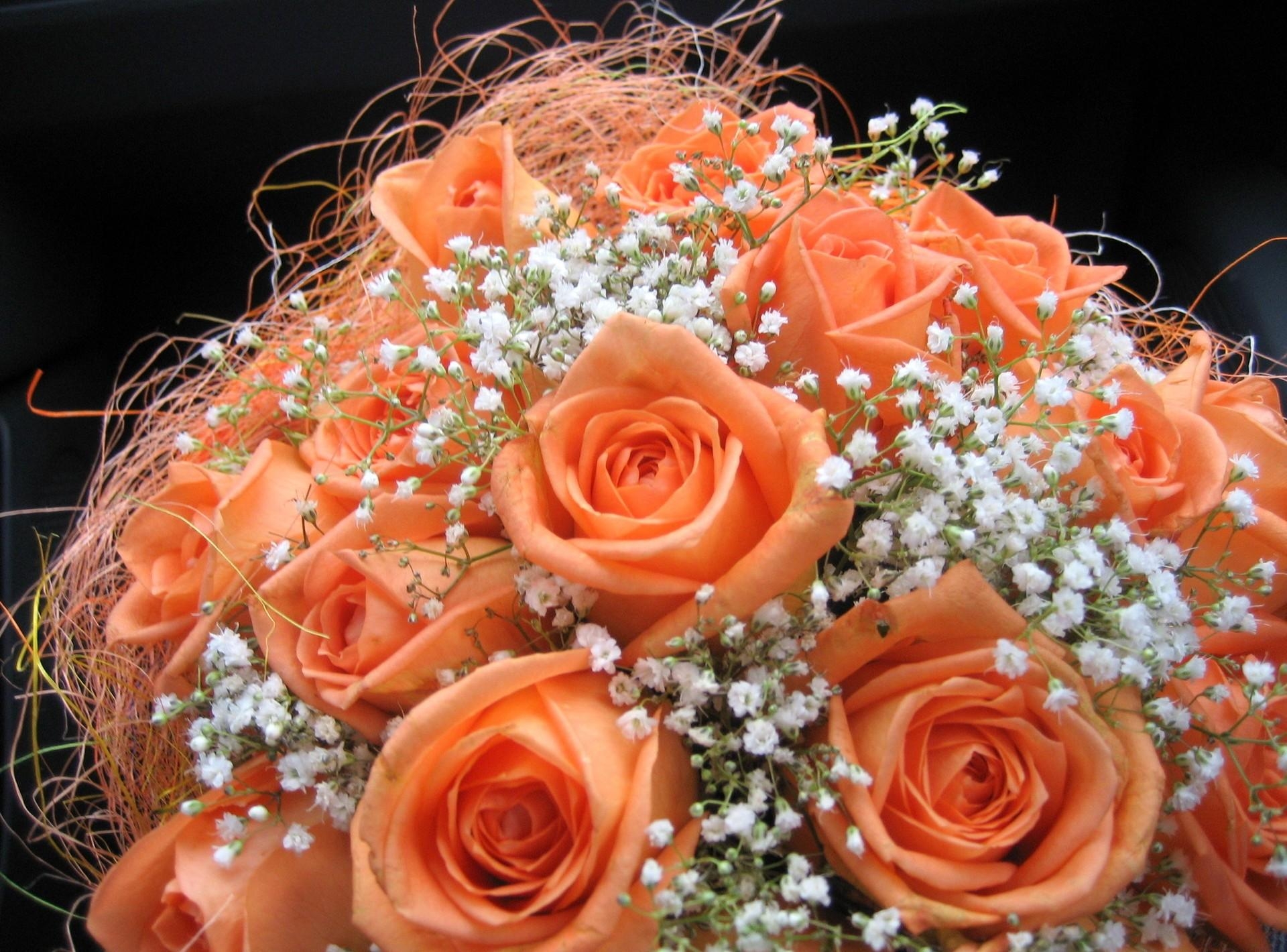 Free HD roses, gipsophile, flowers, registration, typography, bouquet, gypsophilus, tenderness