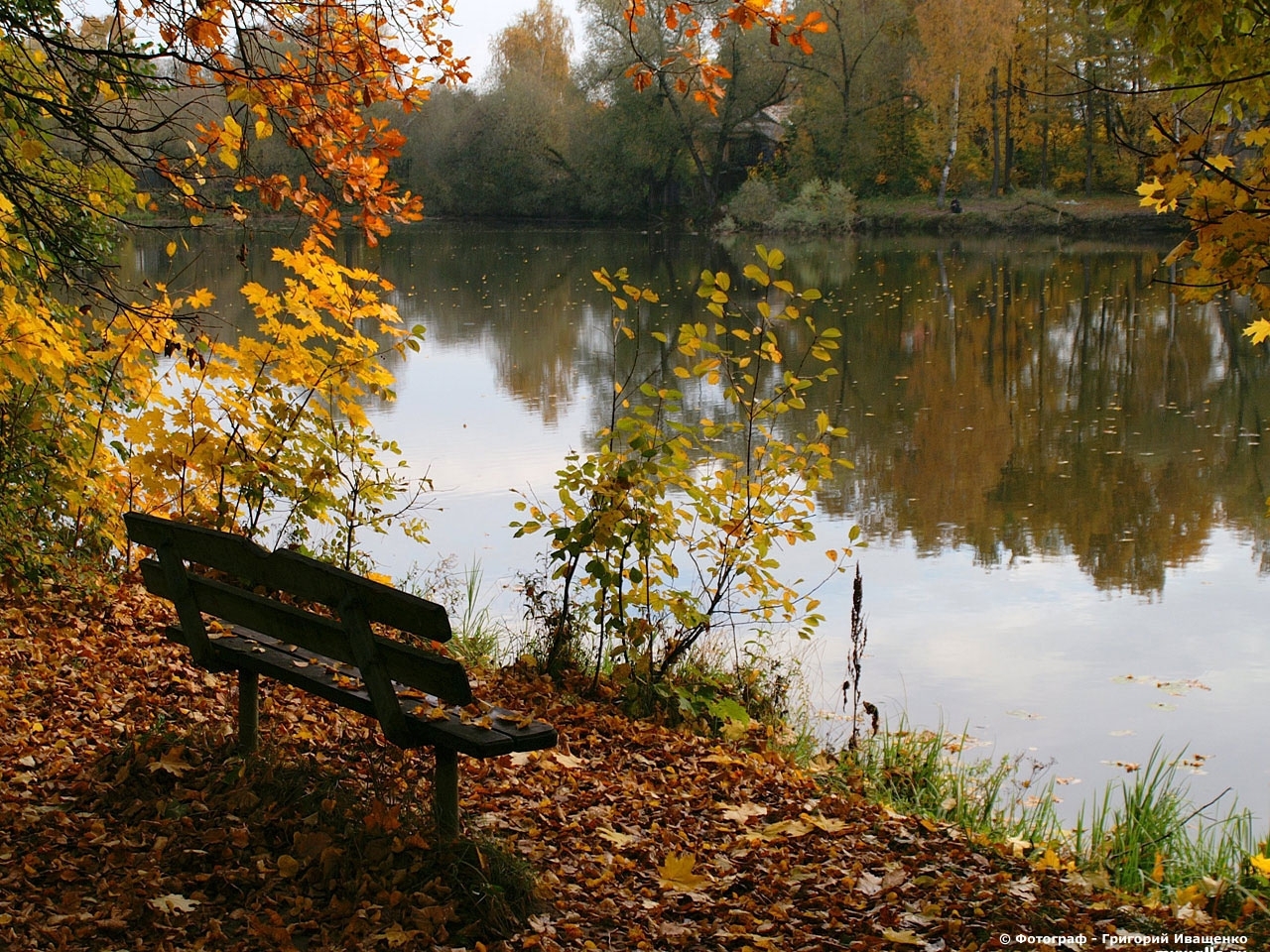 Скачать картинку Деревья, Река, Пейзаж, Листья, Осень в телефон бесплатно.