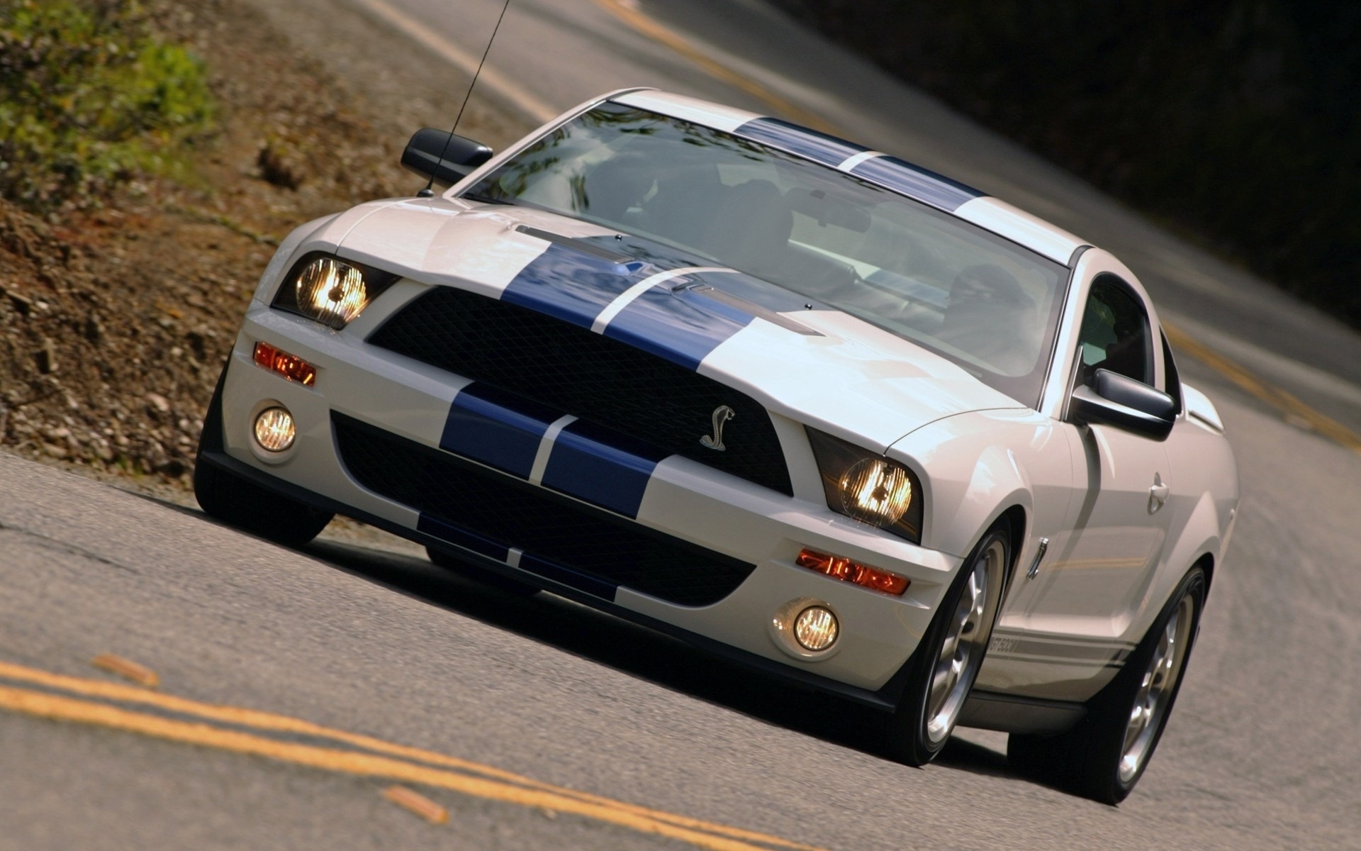 PC Wallpapers transport, auto, mustang