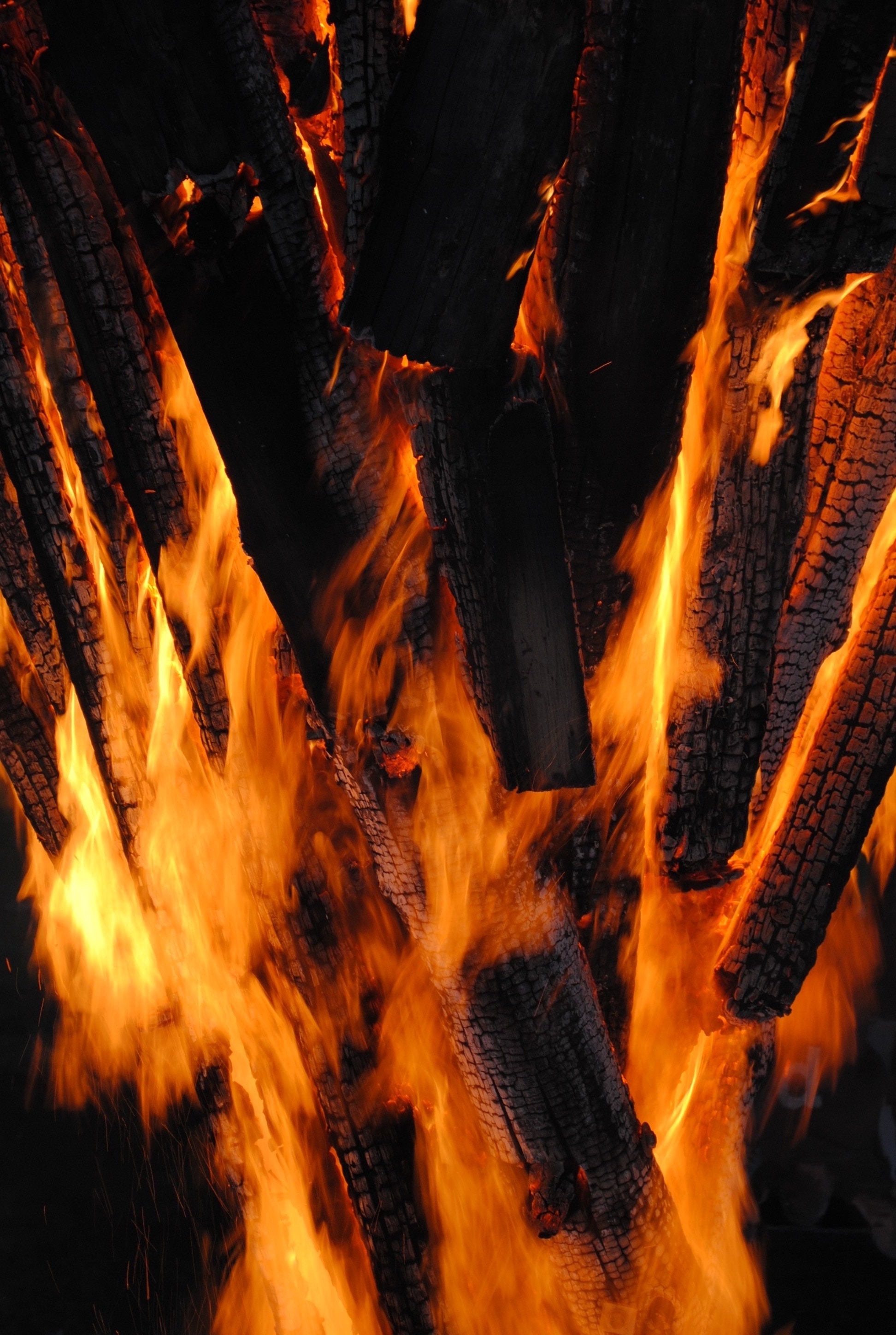 firewood, bonfire, fire, coals, dark, flame, miscellanea, miscellaneous