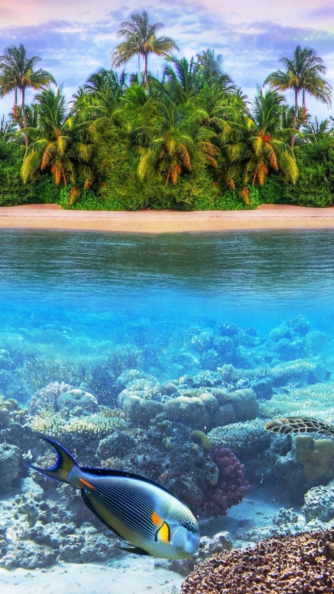 Download mobile wallpaper Earth, Island, Fish, Underwater, Turtle, Maldives, Reef for free.