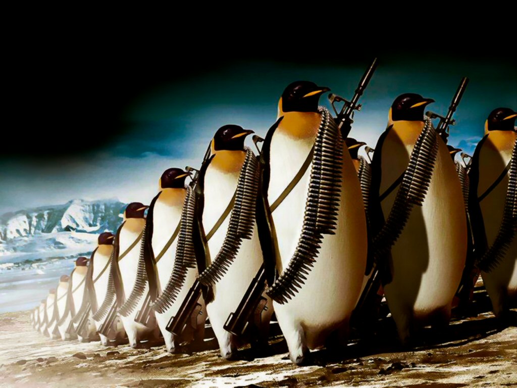 1515144 descargar fondo de pantalla animales, humor, pingüino: protectores de pantalla e imágenes gratis