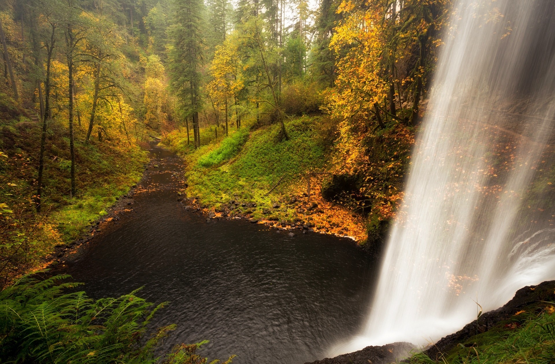 Водопад рассвет. Водопад в лесу. Лесной водопад. Водопад осень. Водопад осенью в лесу.
