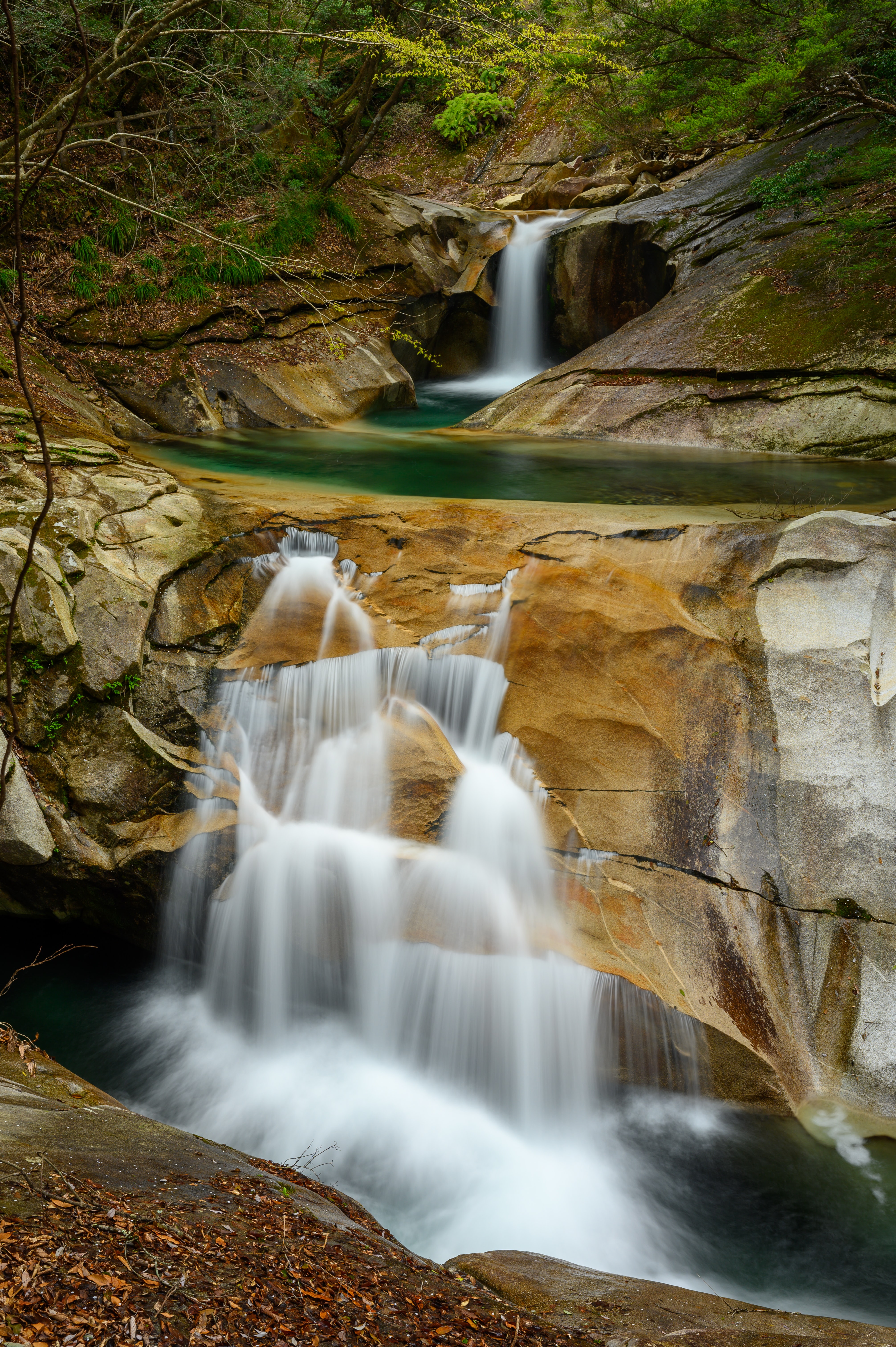 waterfall, trees, nature, rocks, spray, flow, stream HD wallpaper