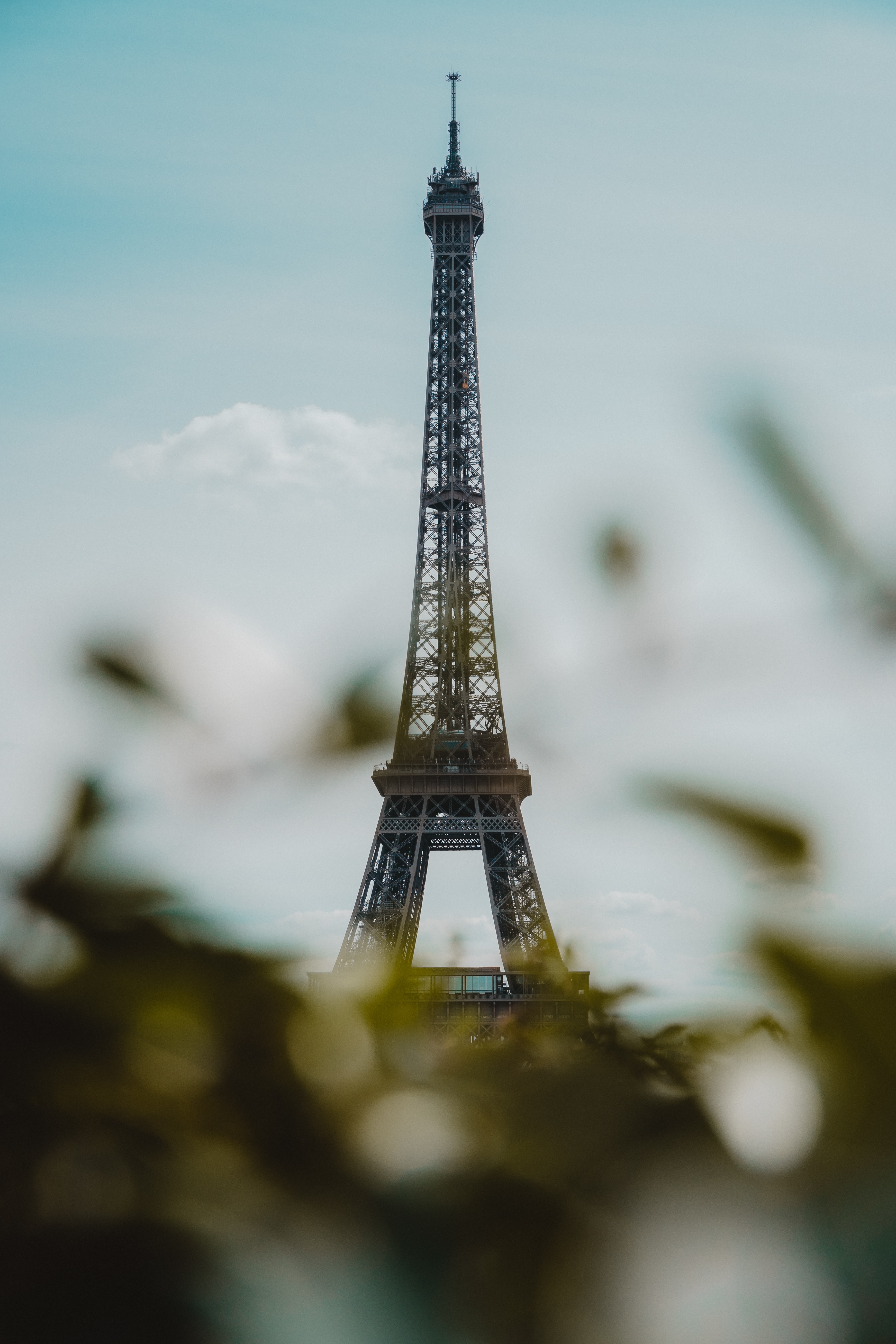 56129 Protetores de tela e papéis de parede Torre Eiffel em seu telefone. Baixe  fotos gratuitamente