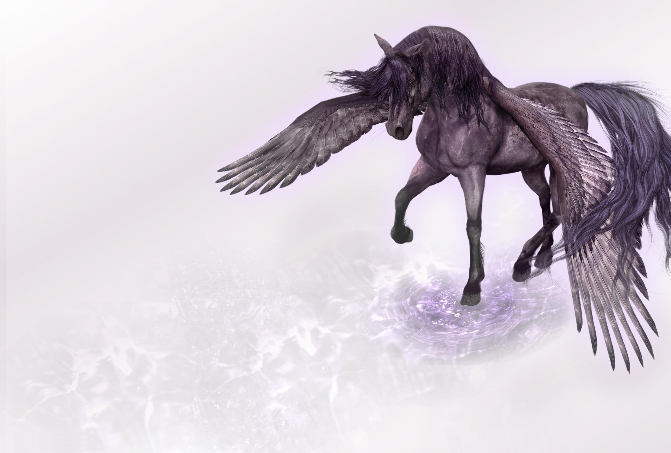 horse, fantasy, water, wings, pegasus